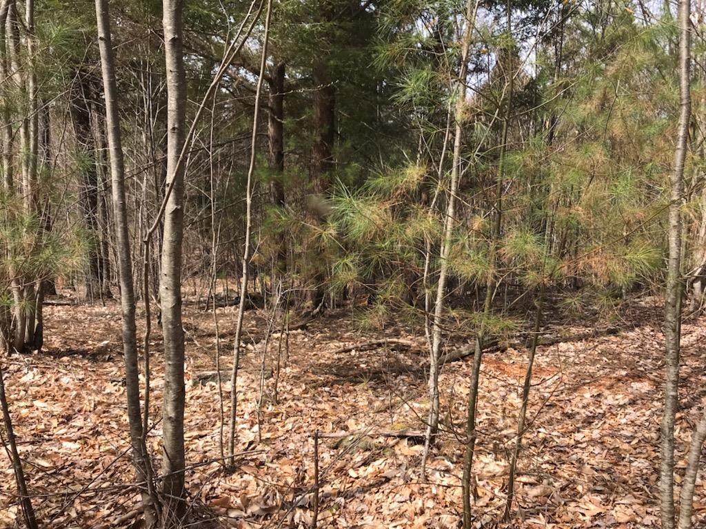 Homes for sale in Milton, NH | 305 Middleton Rd, Milton, NH 03851 | MLS# 5031300