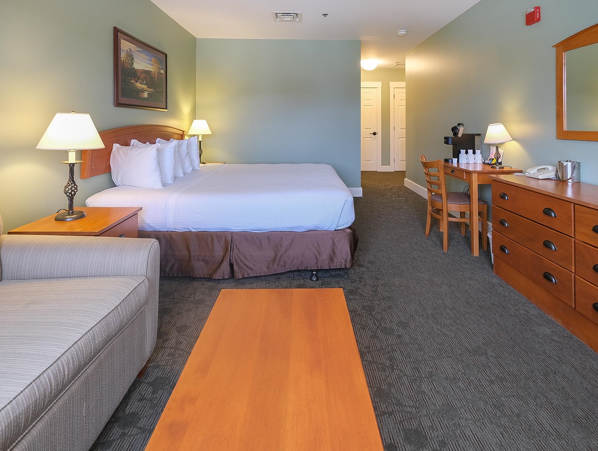 Pull out loveseat for extra sleeping space 22804945