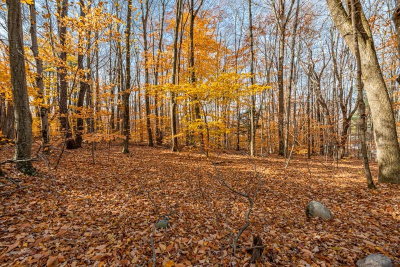 Homes for sale in Manchester, VT | Oa East Manchester Rd, Manchester, VT 05255 | MLS# 5031411