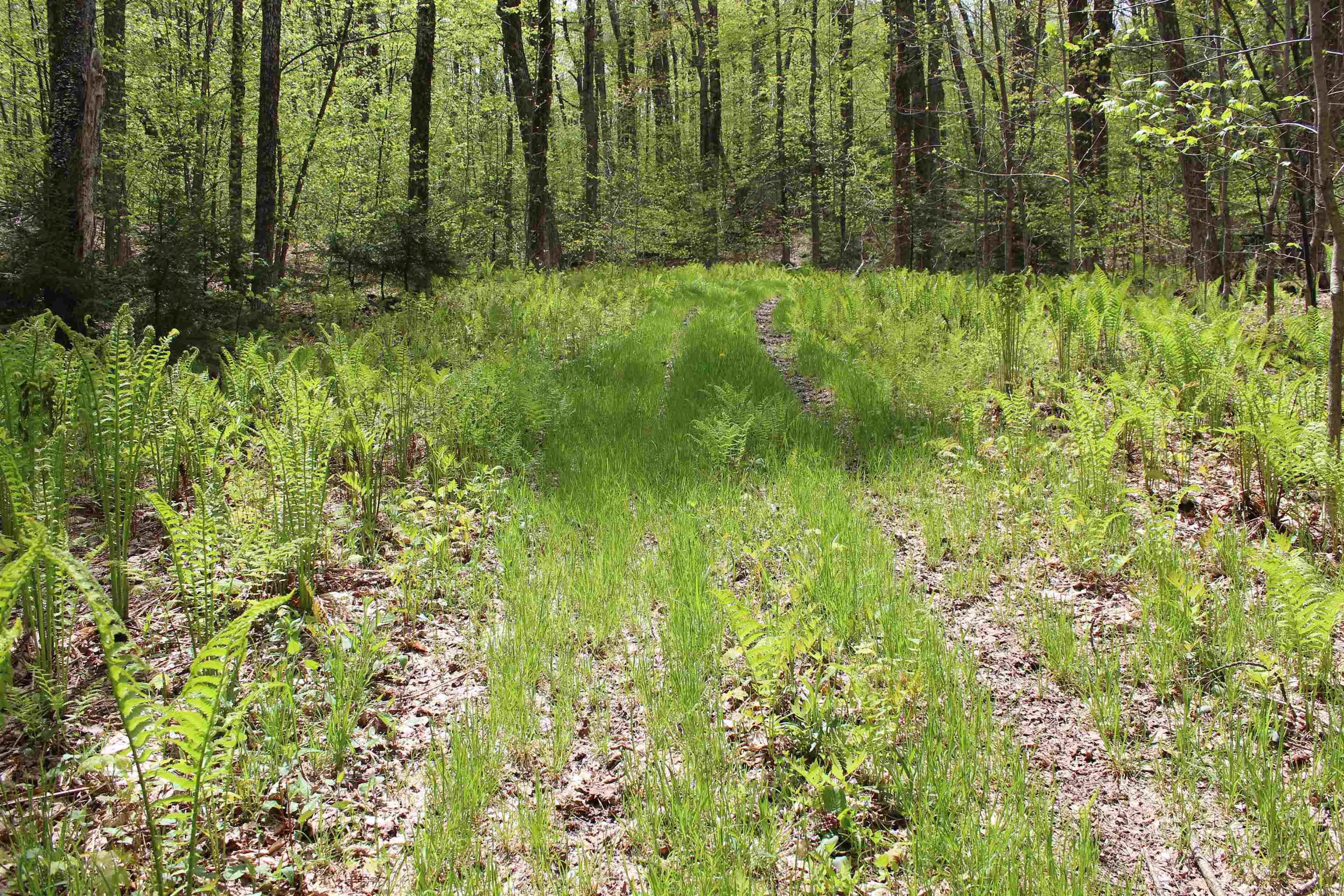 Homes for sale in Woodstock, VT | 00 Long Hill Rd, Woodstock, VT 05091 | MLS# 5031426