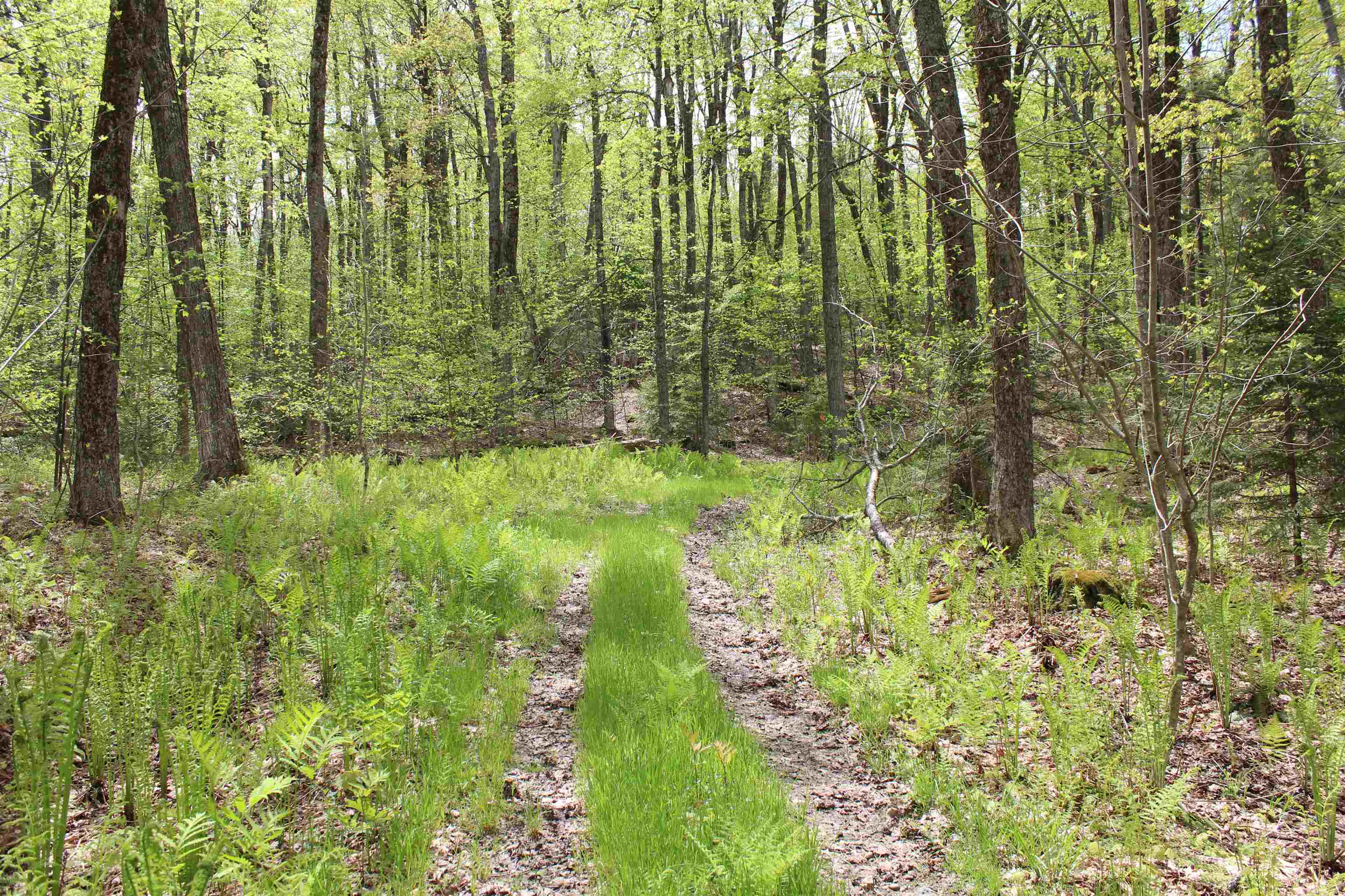 Homes for sale in Woodstock, VT | 00 Long Hill Rd, Woodstock, VT 05091 | MLS# 5031426