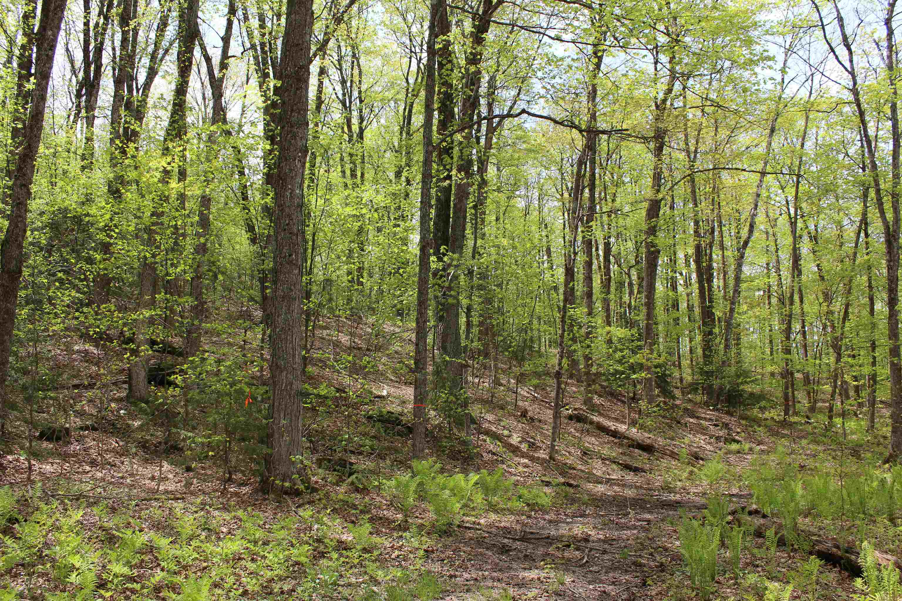 Homes for sale in Woodstock, VT | 00 Long Hill Rd, Woodstock, VT 05091 | MLS# 5031426