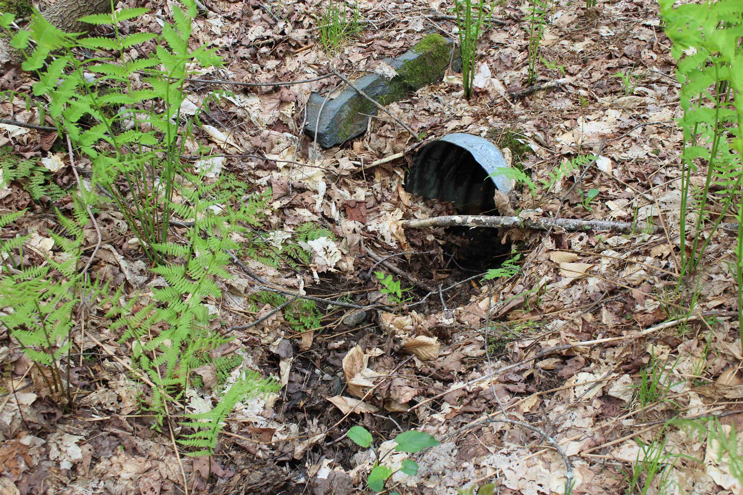 Homes for sale in Woodstock, VT | 00 Long Hill Rd, Woodstock, VT 05091 | MLS# 5031426