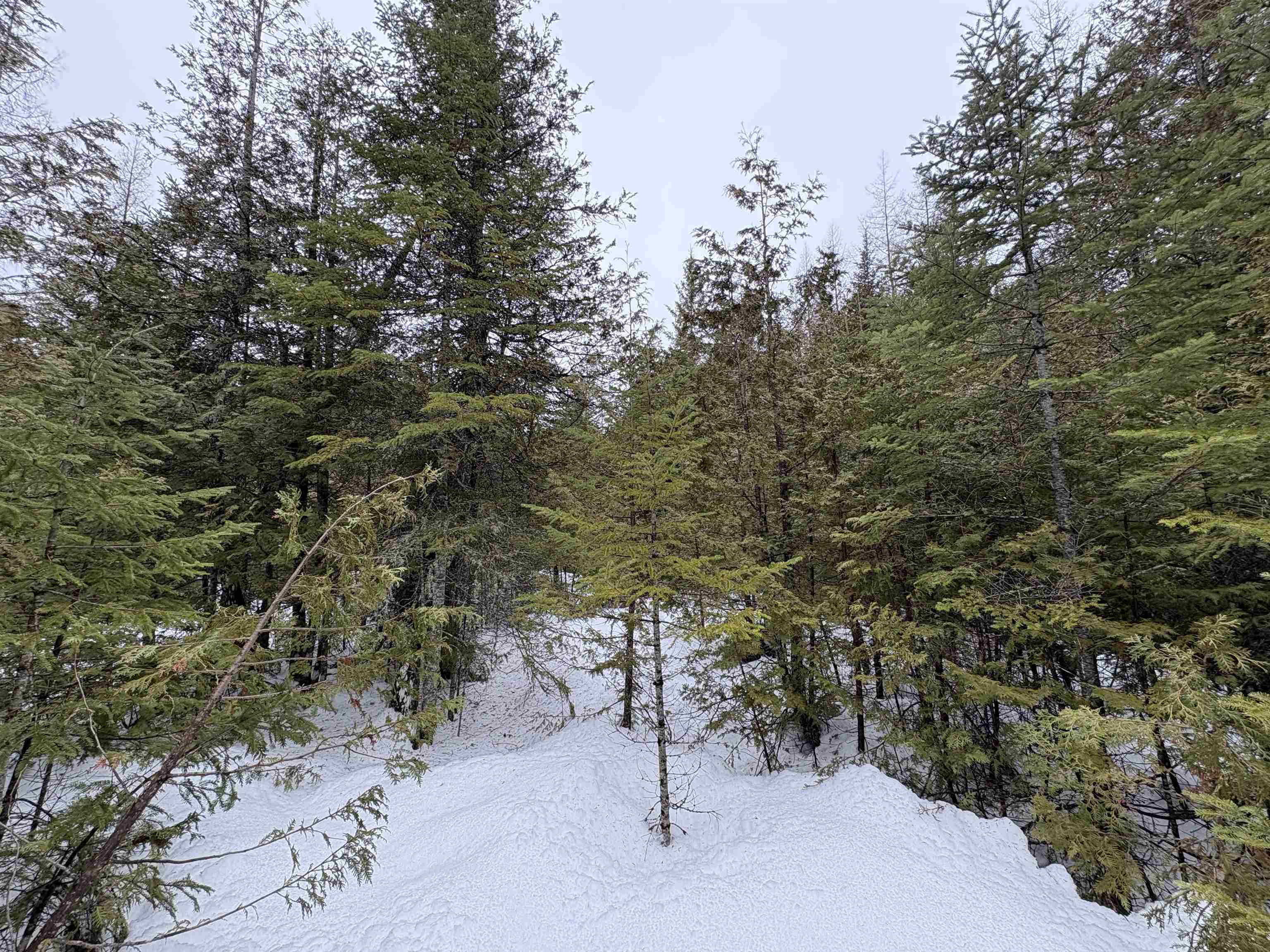 Homes for sale in Greensboro, VT | 1974 The Bend Rd, Greensboro, VT 05841 | MLS# 5031527