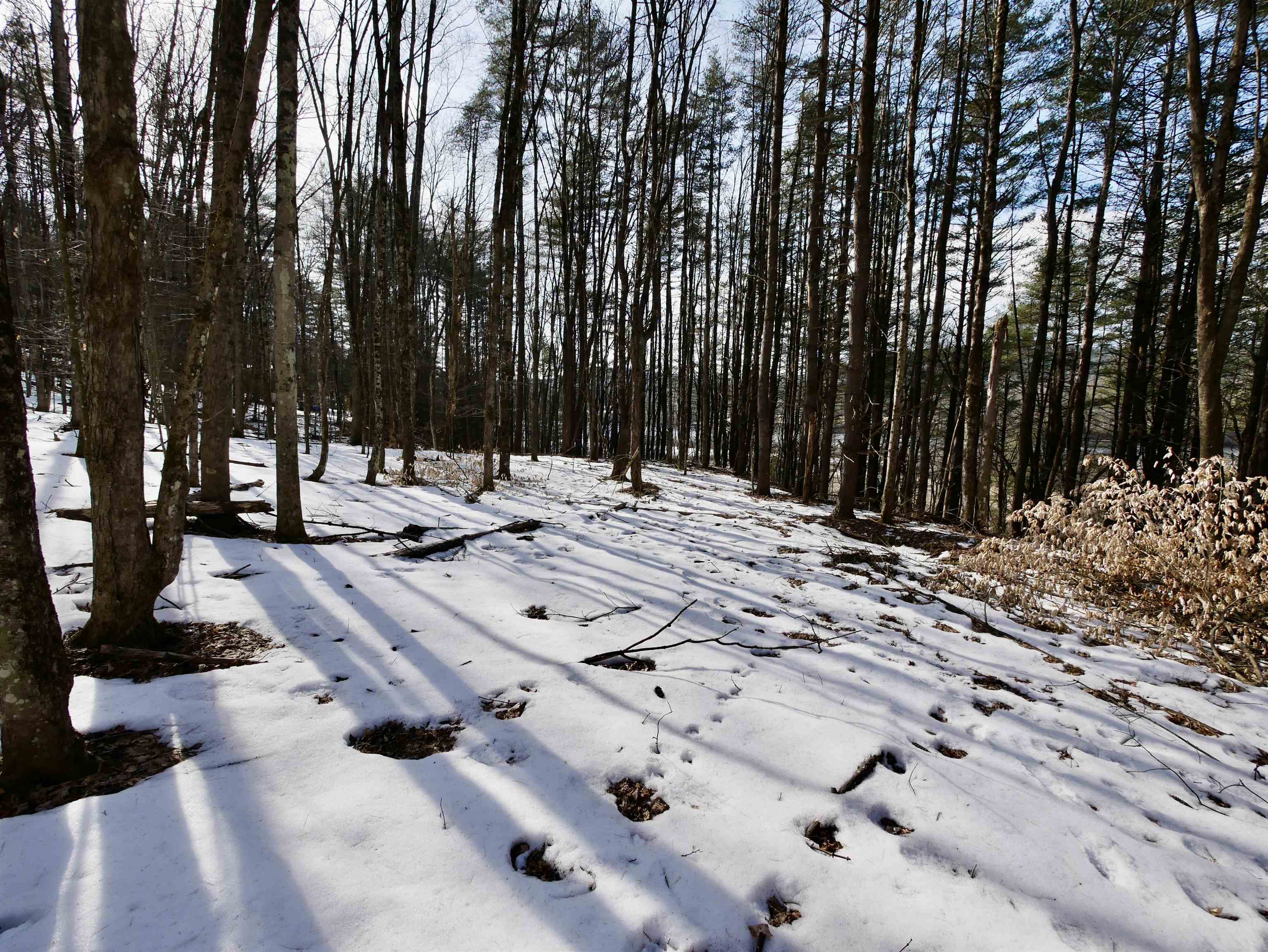 Homes for sale in Lyme, NH | 202 River Rd, Lyme, NH 03768 | MLS# 5031727