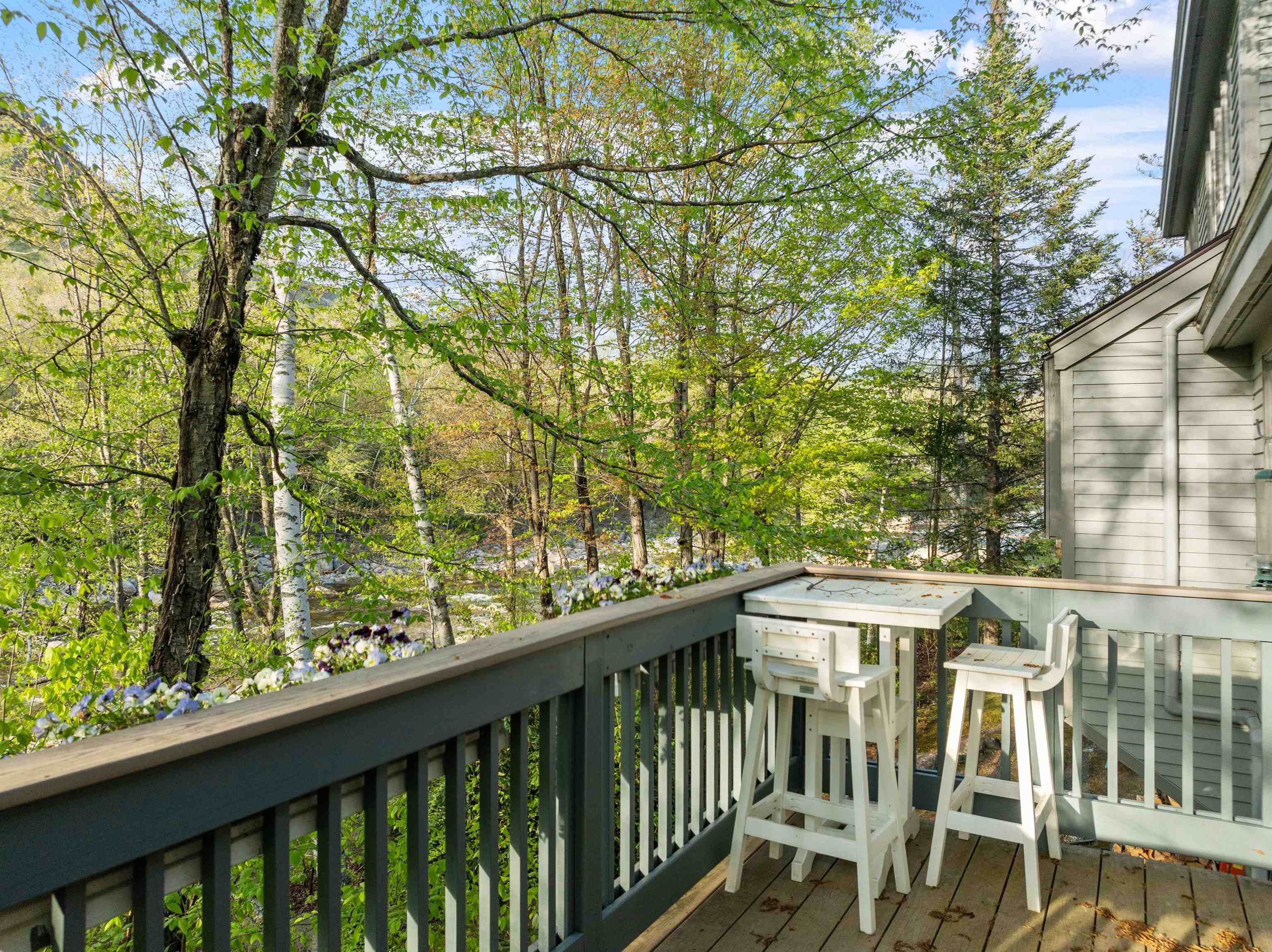 MLS #5031781 image #16