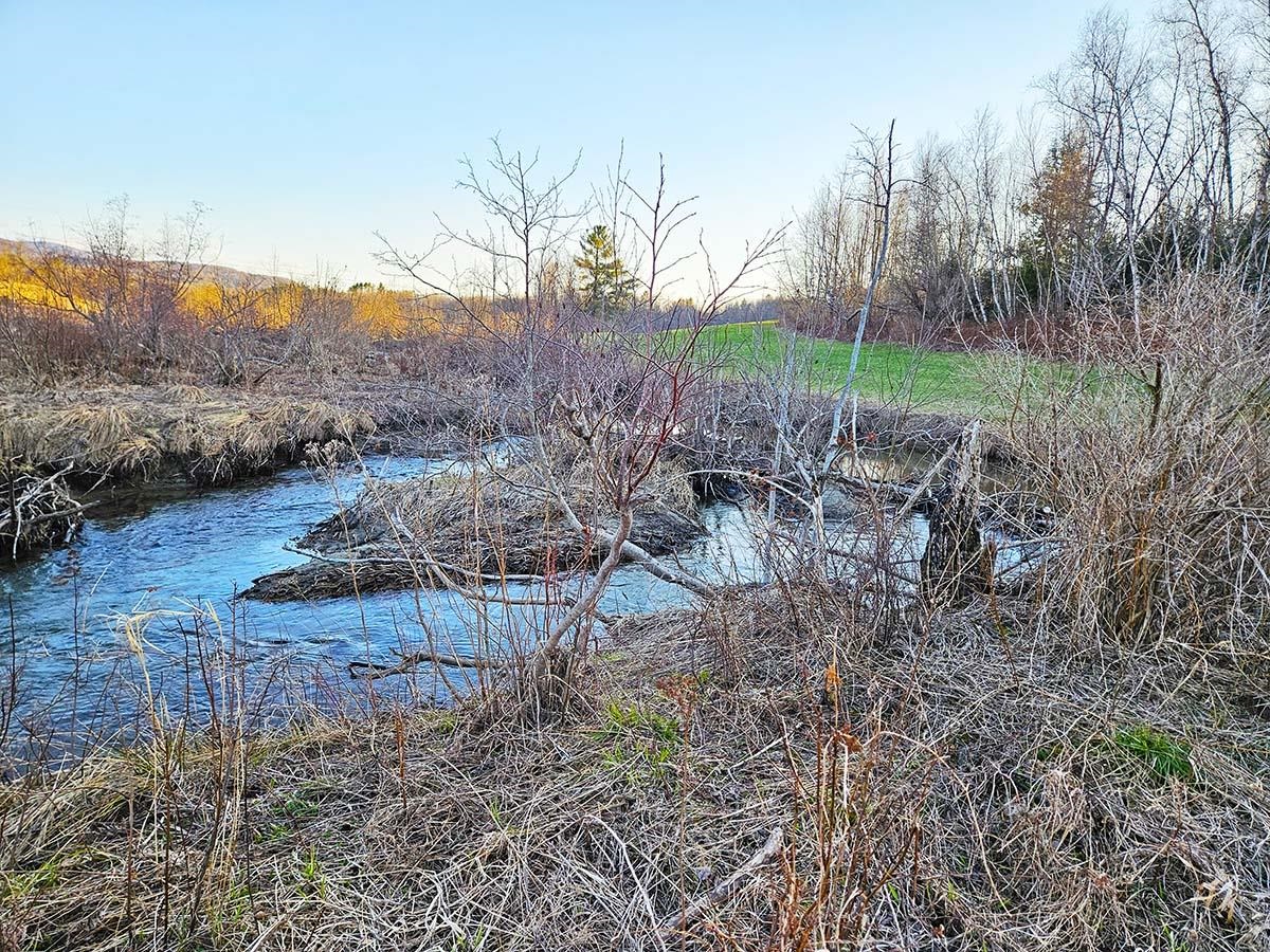 Homes for sale in Bakersfield, VT | Lot 13 Paradis Ln, Bakersfield, VT 05450 | MLS# 5031949