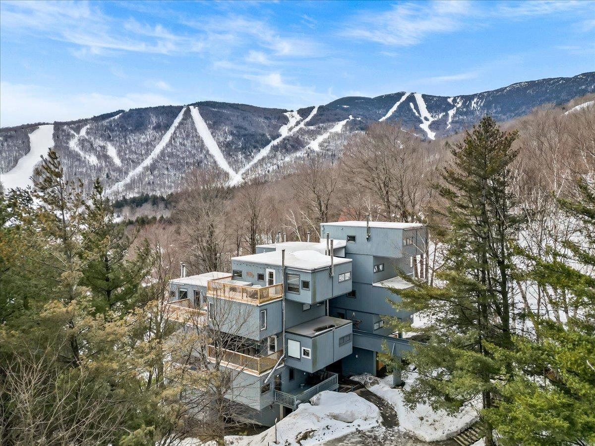 WARREN VT Condo for sale $$679,000 | $566 per sq.ft.