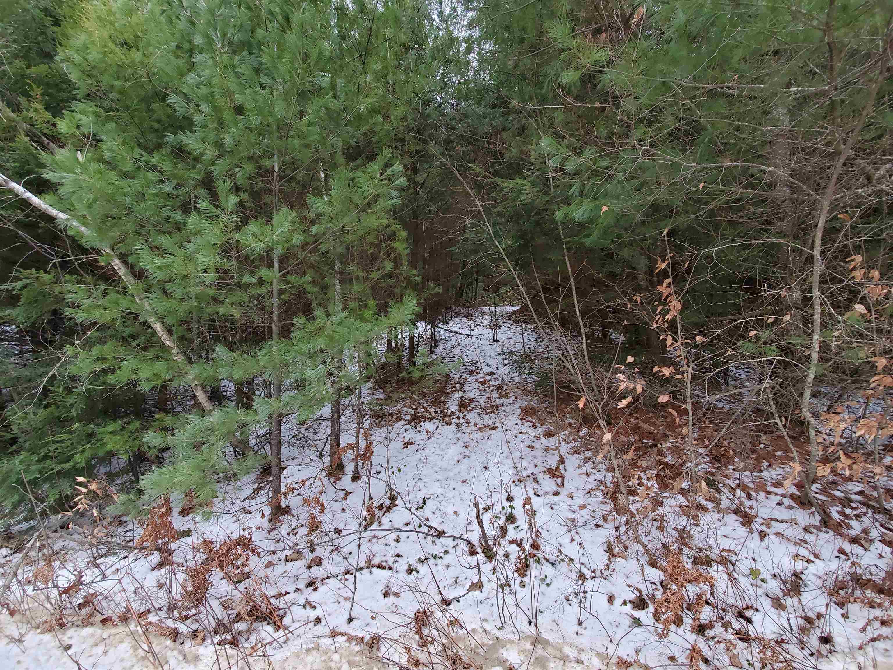 MLS #5032331 image #12