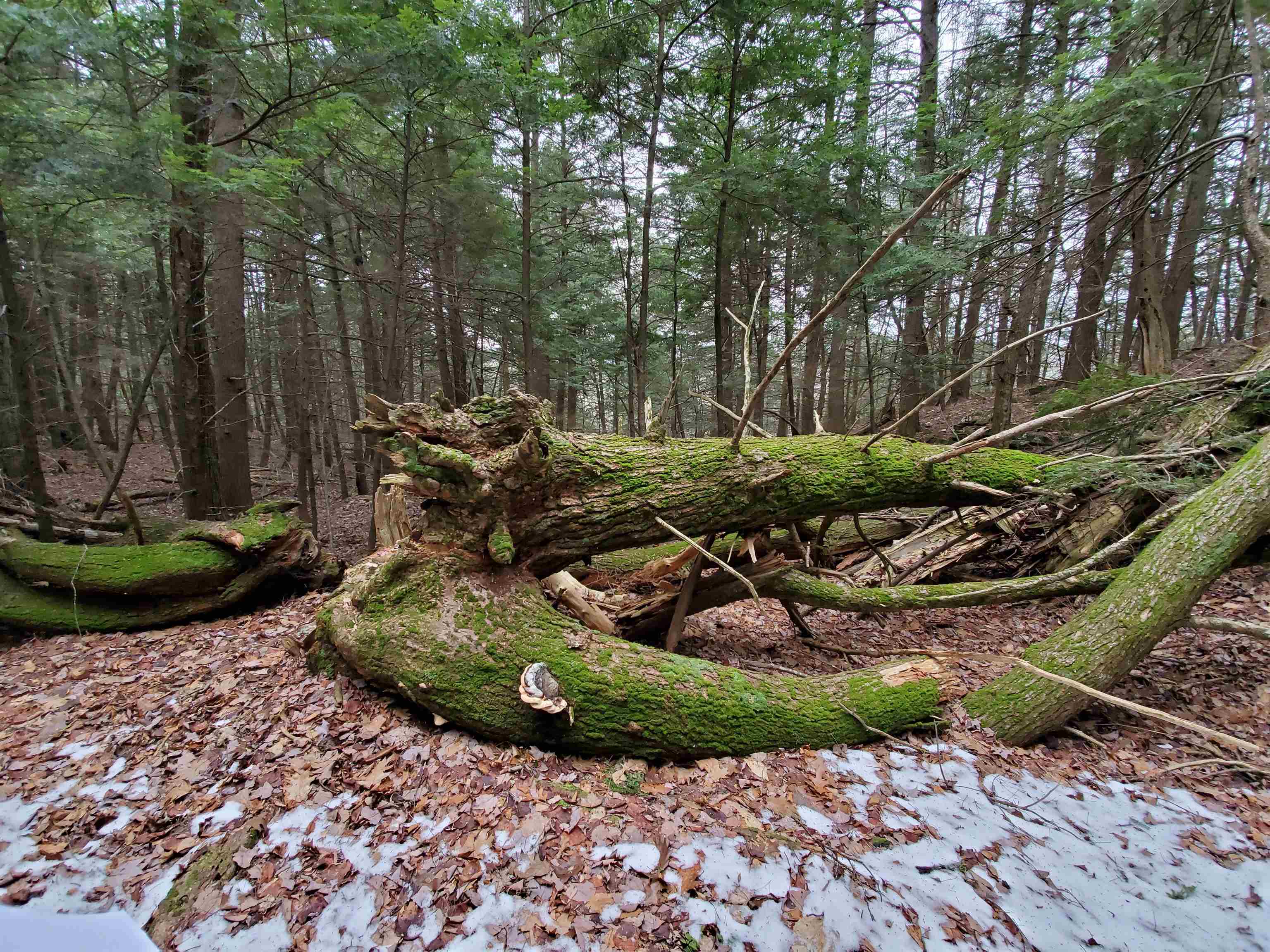 MLS #5032331 image #17