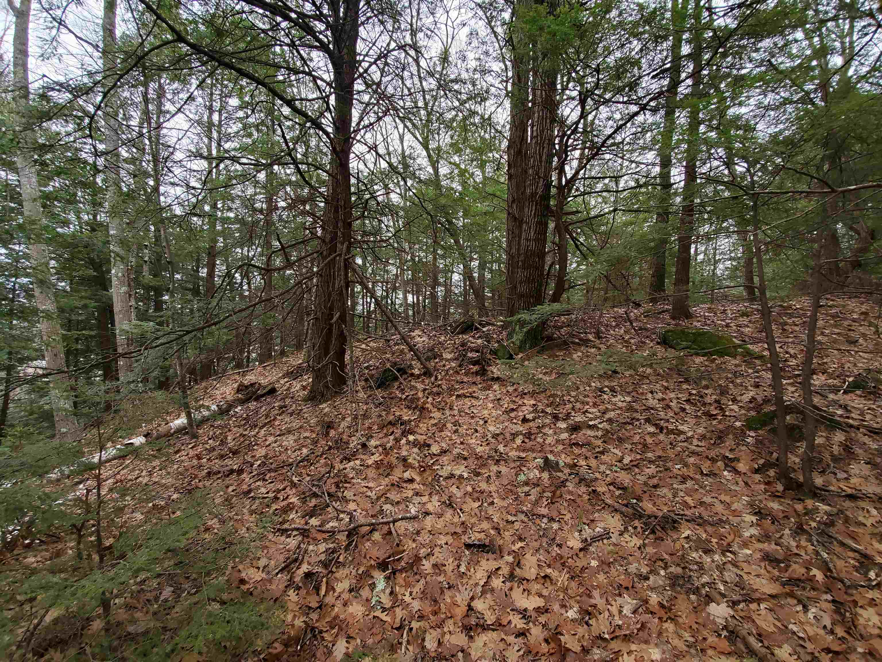 MLS #5032331 image #18