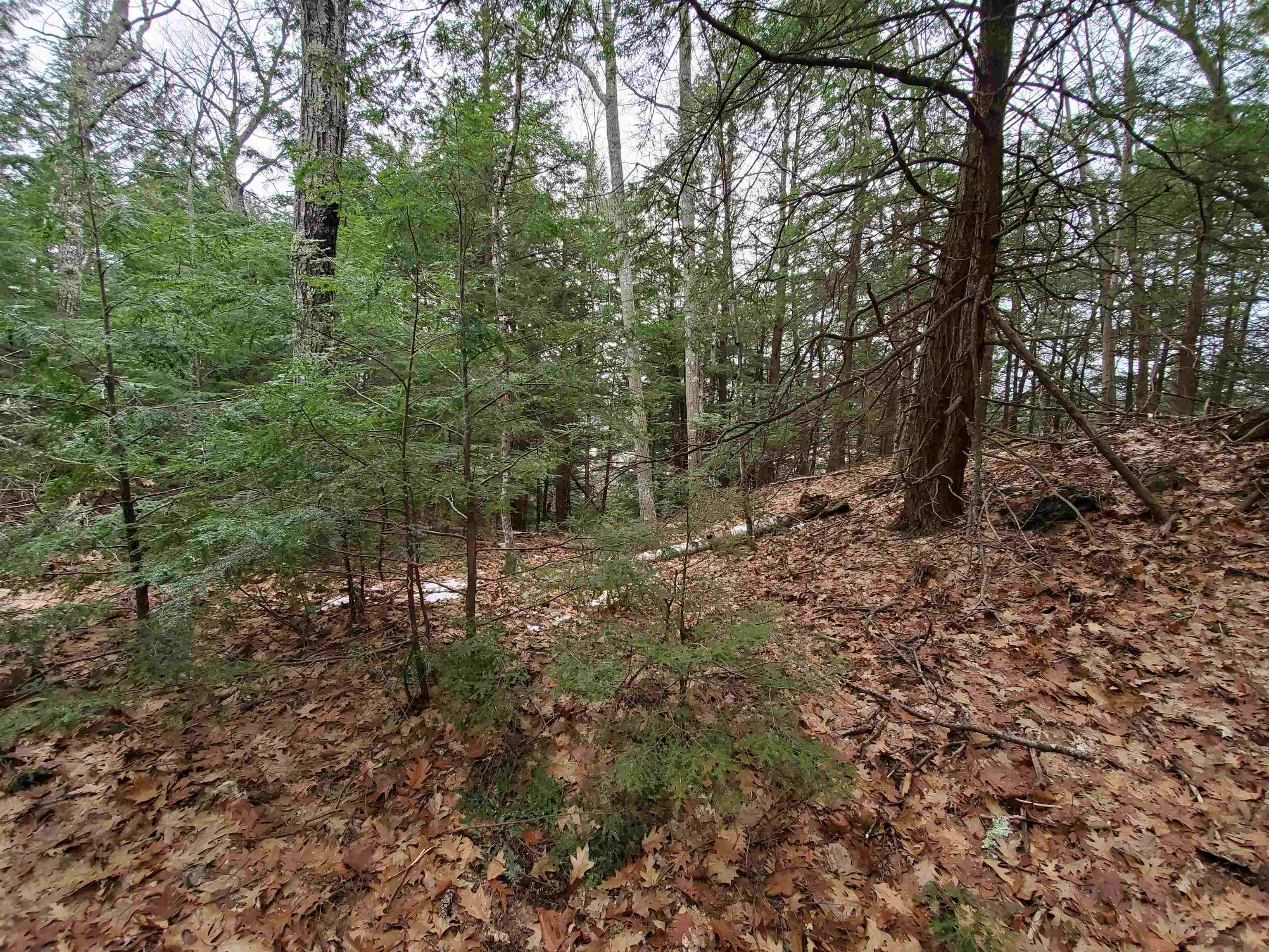 MLS #5032331 image #19