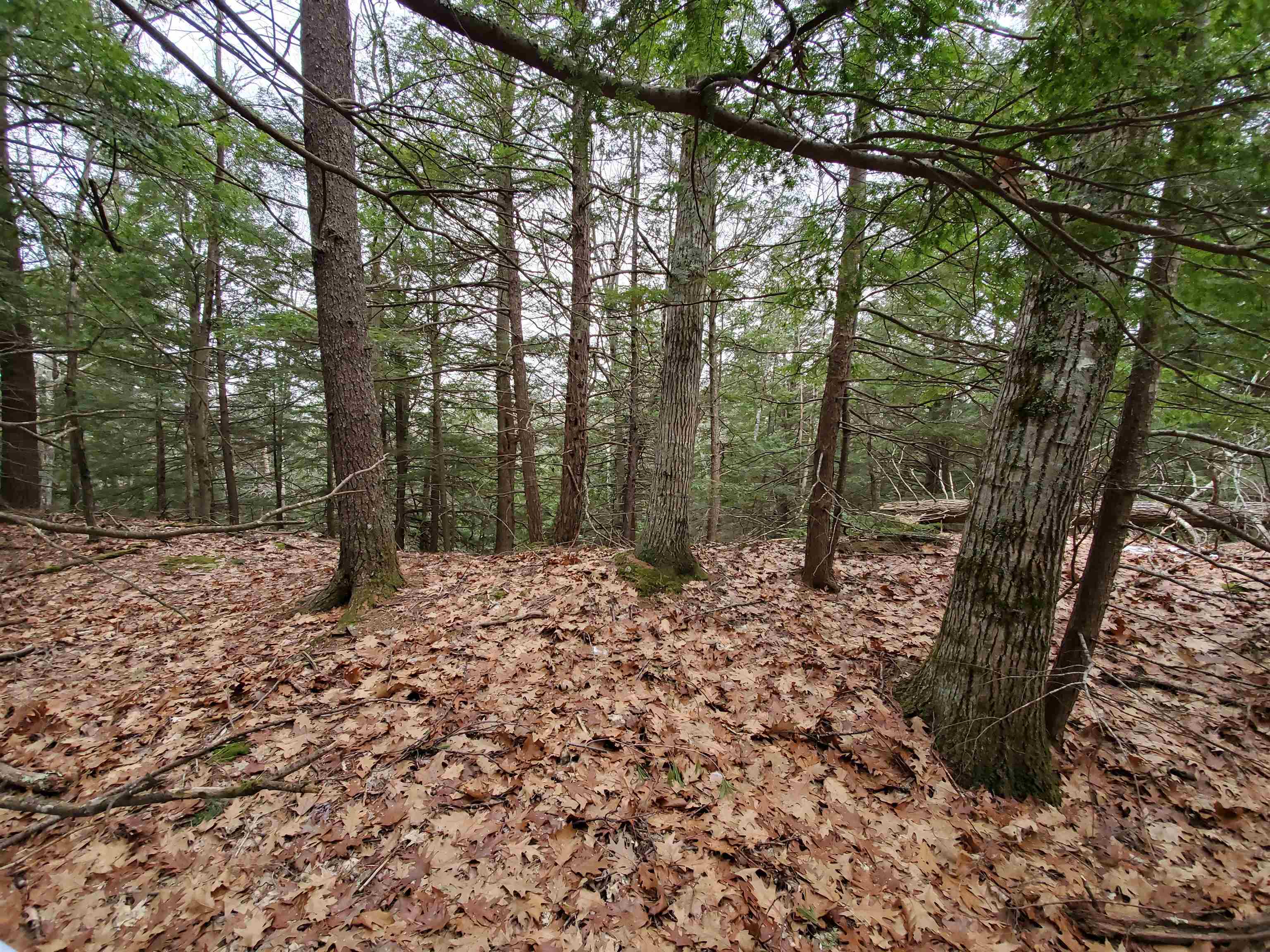 MLS #5032331 image #20