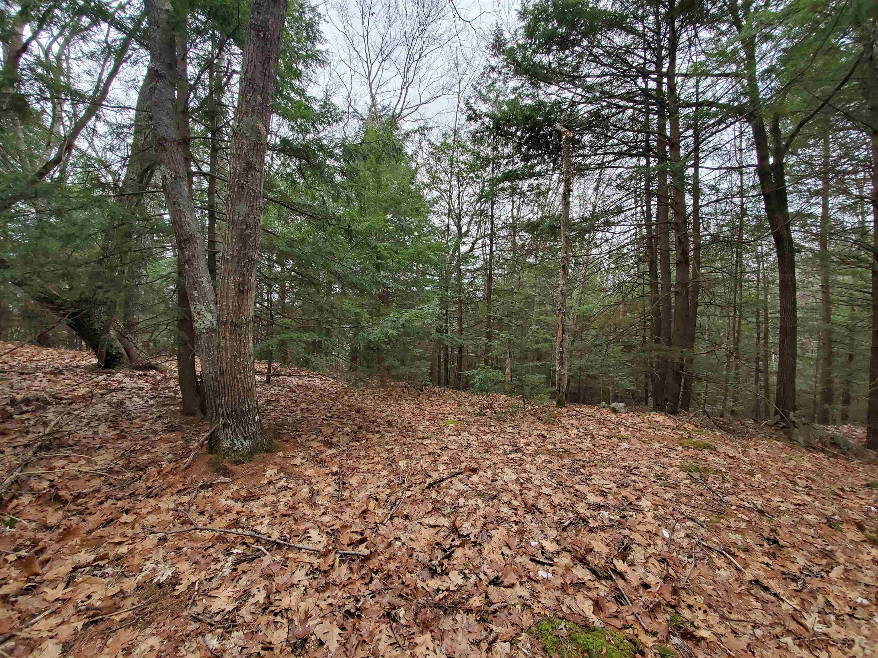 MLS #5032331 image #21