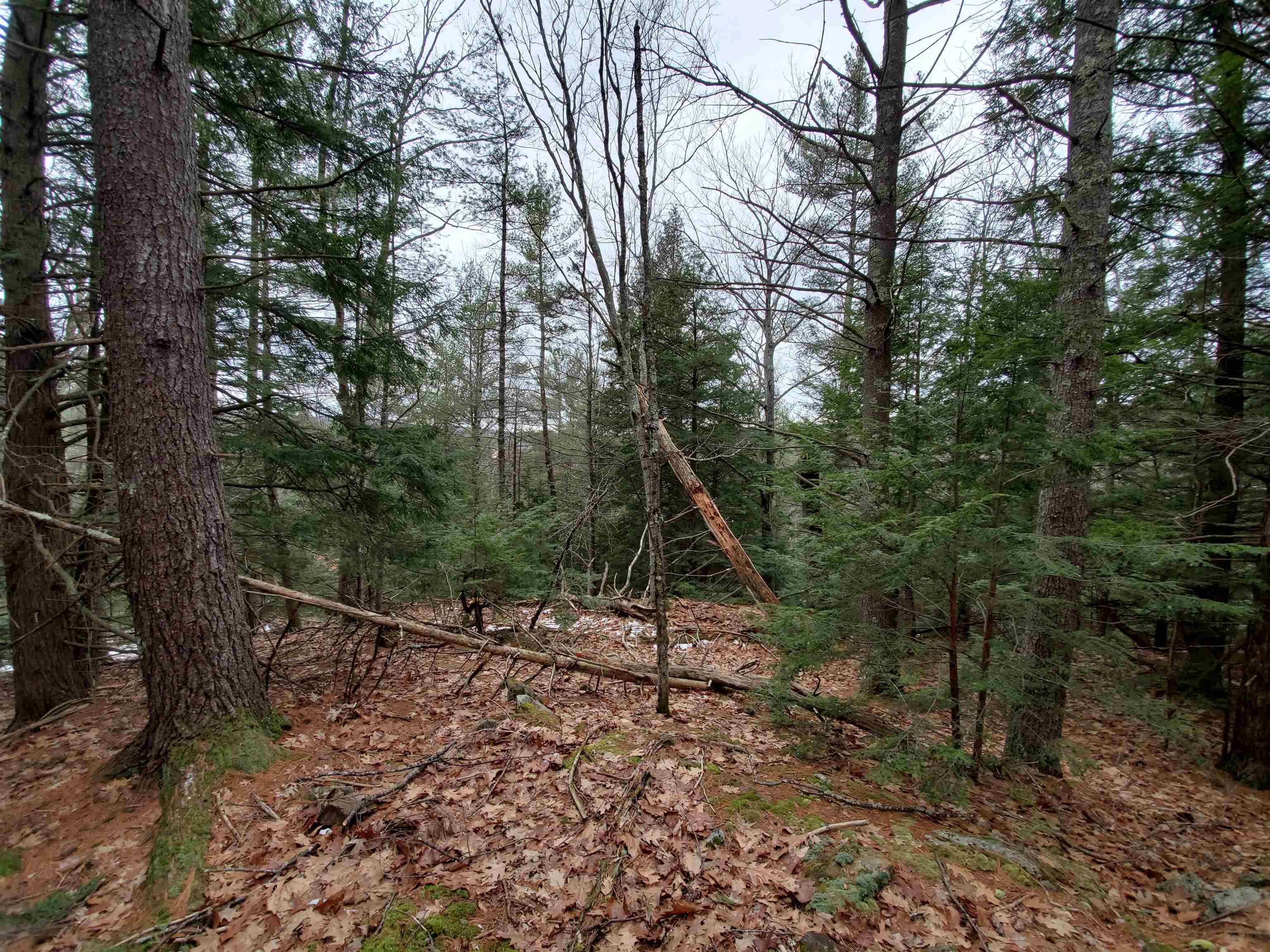 MLS #5032331 image #22