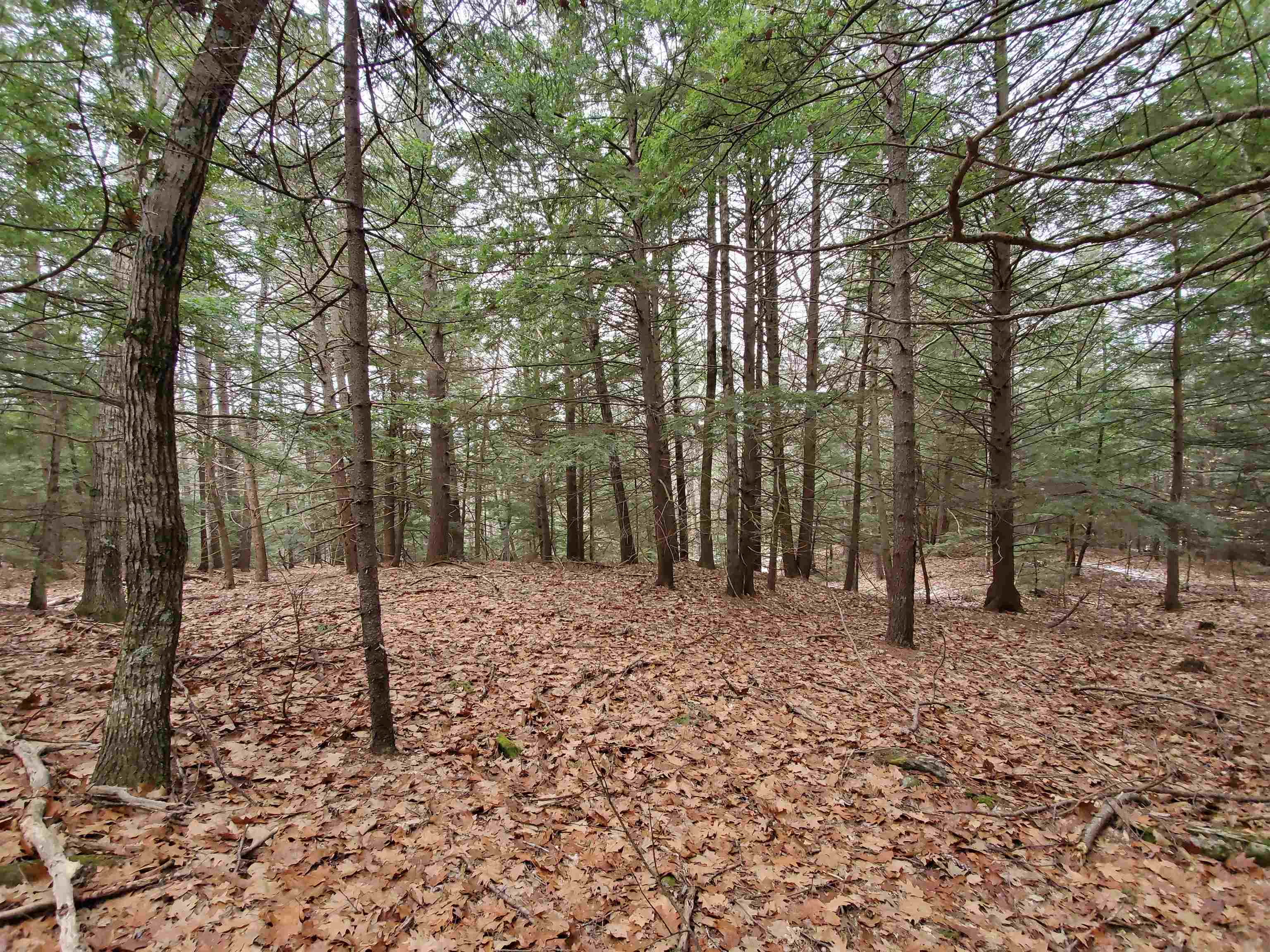 MLS #5032331 image #23