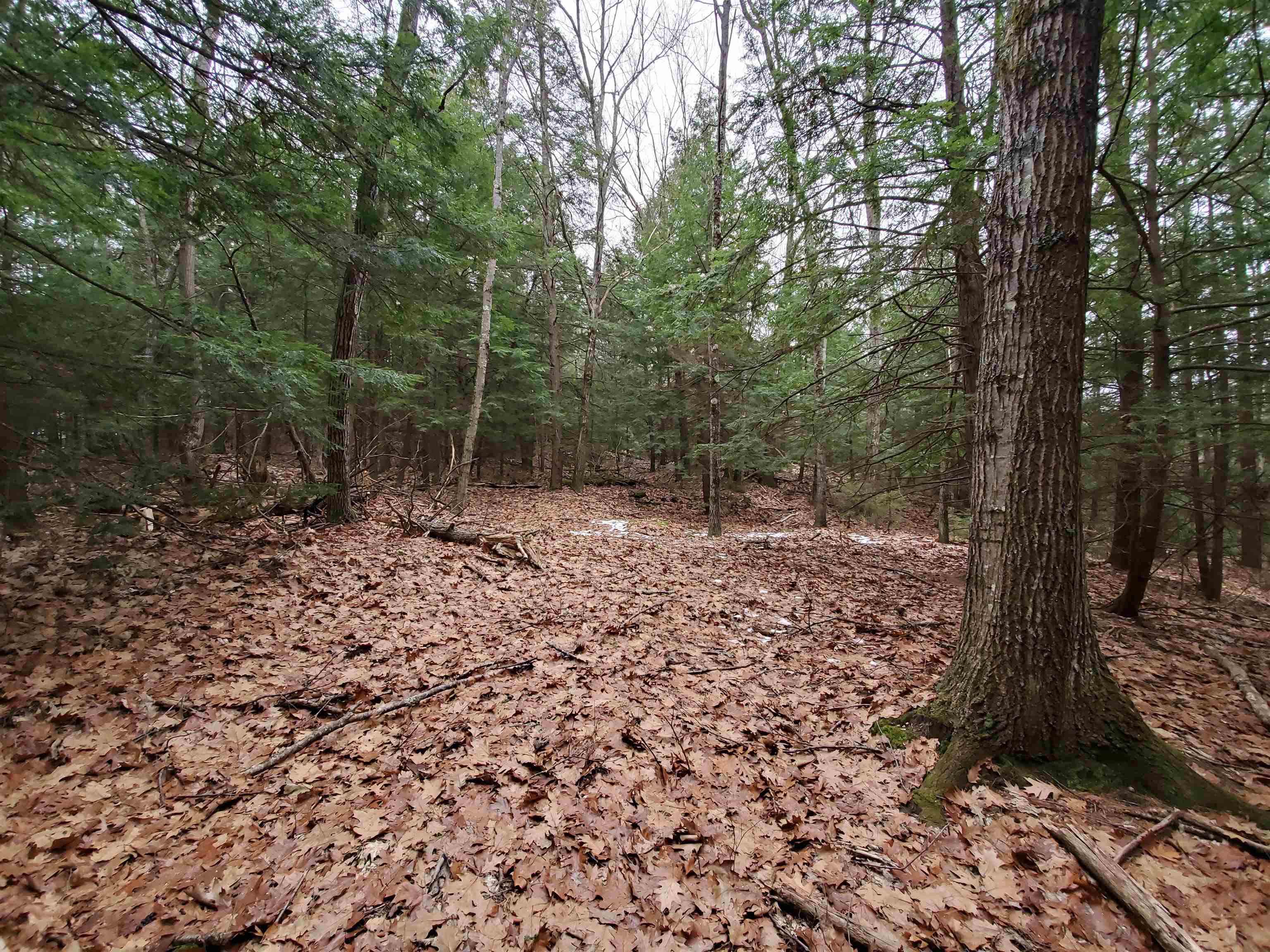 MLS #5032331 image #24