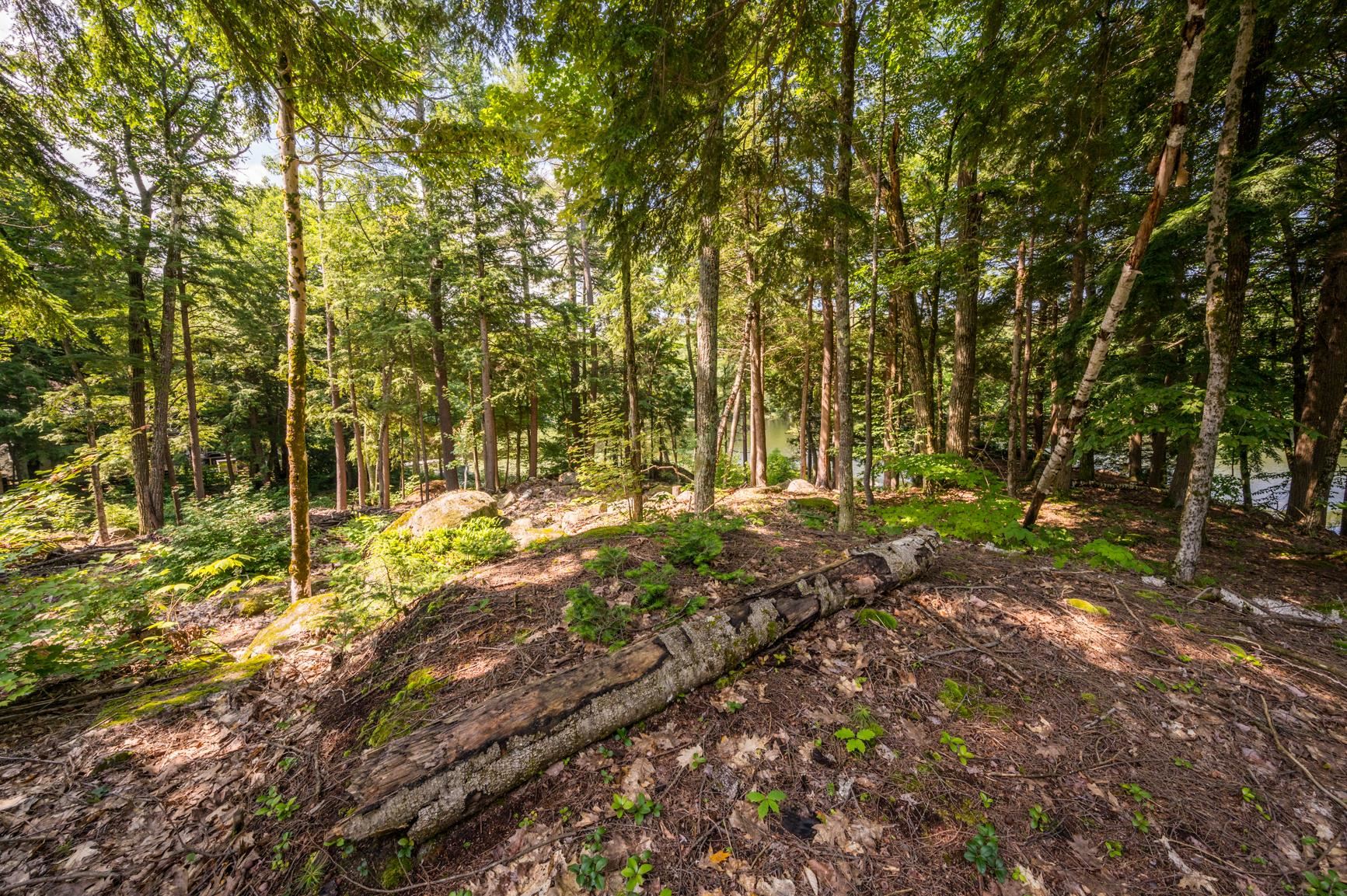 MLS #5032408 image #12