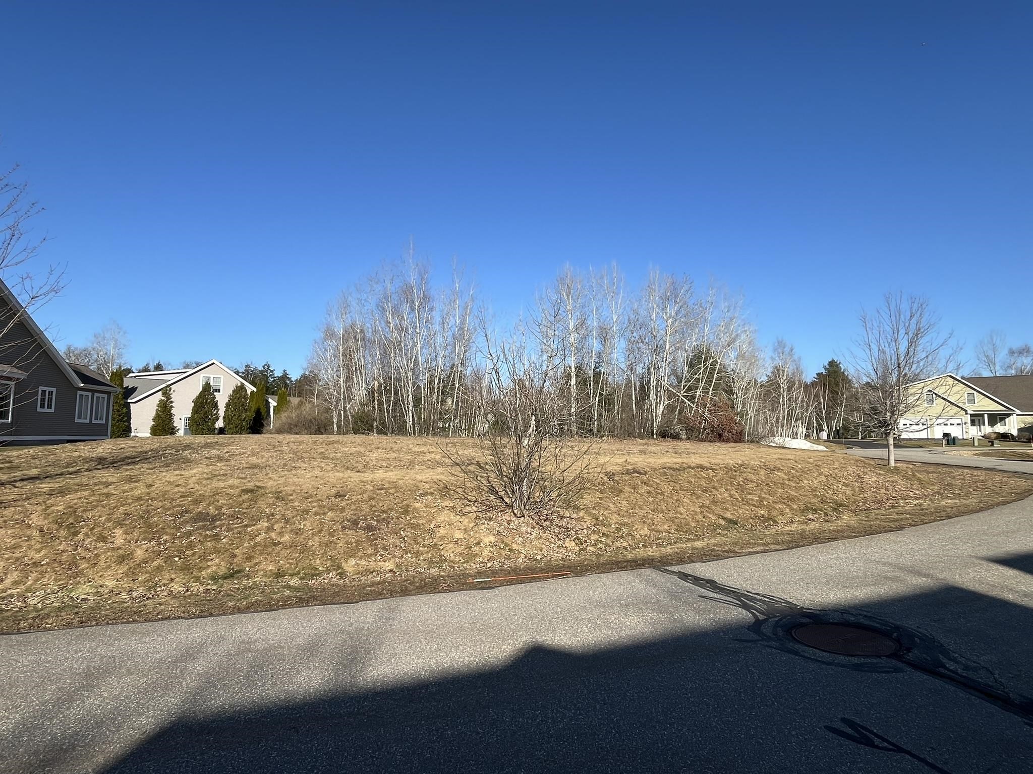 MLS #5032547 image #4