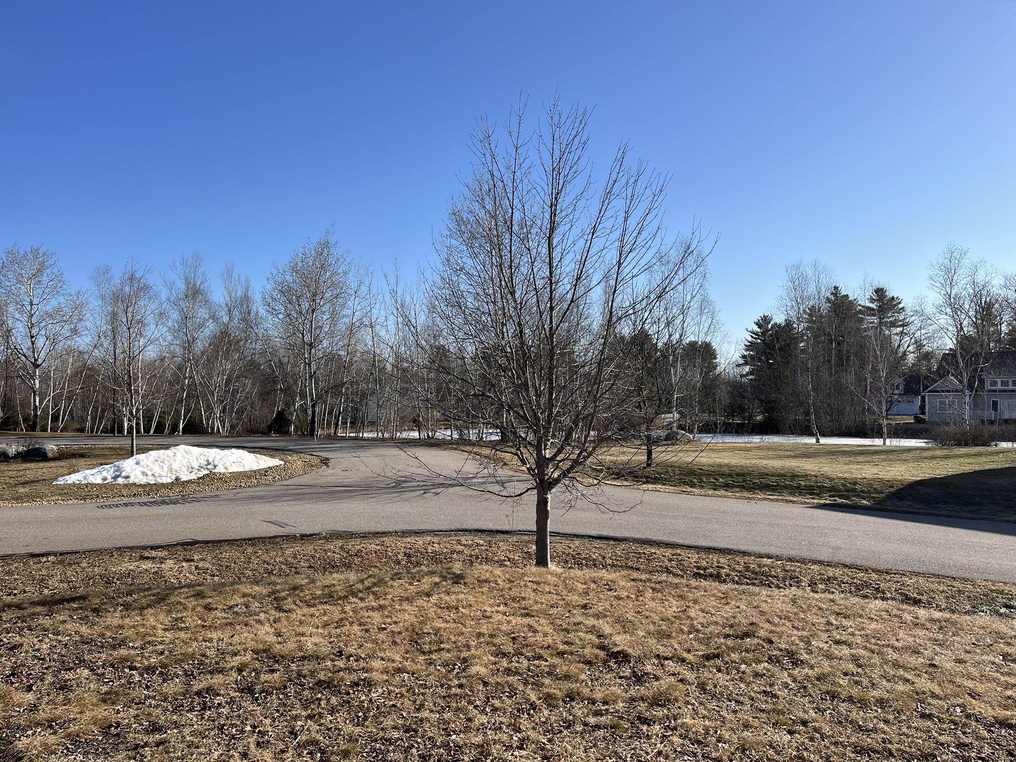 MLS #5032547 image #6