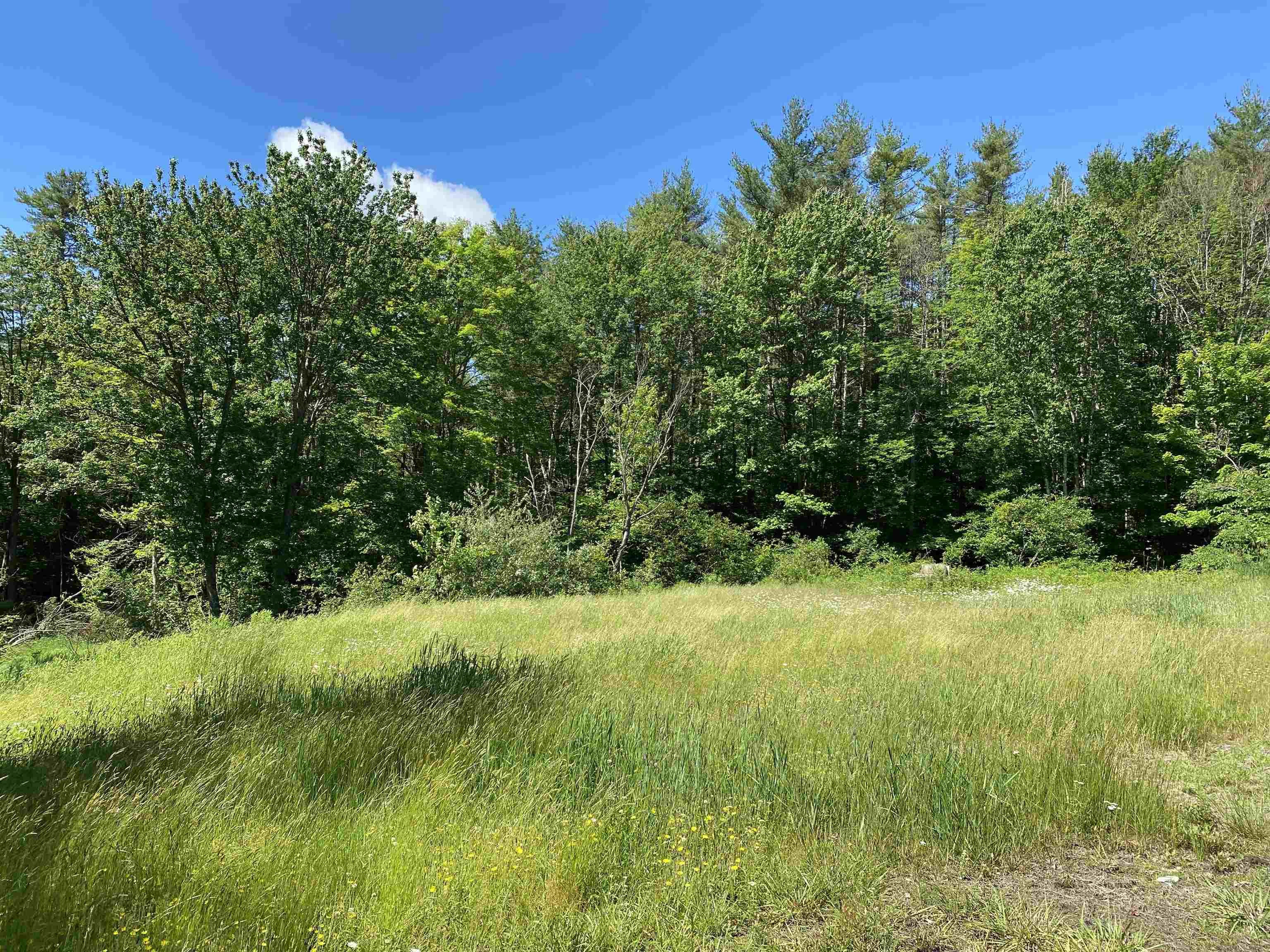 Homes for sale in Pittsfield, NH | 18 Catamount Rd, Pittsfield, NH 03263 | MLS# 5032548