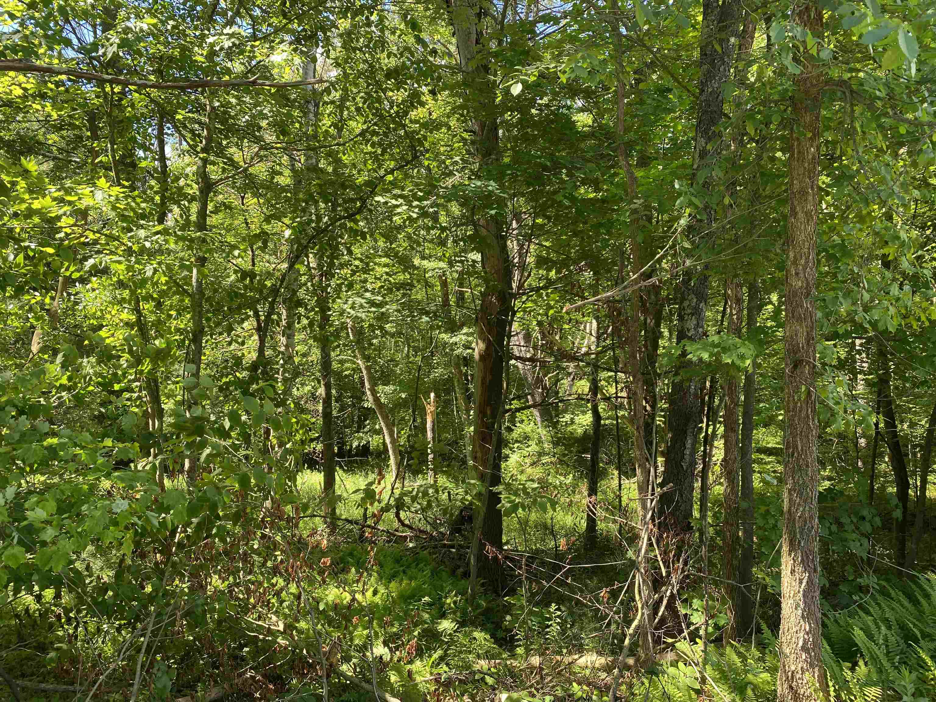 Homes for sale in Pittsfield, NH | 18 Catamount Rd, Pittsfield, NH 03263 | MLS# 5032548