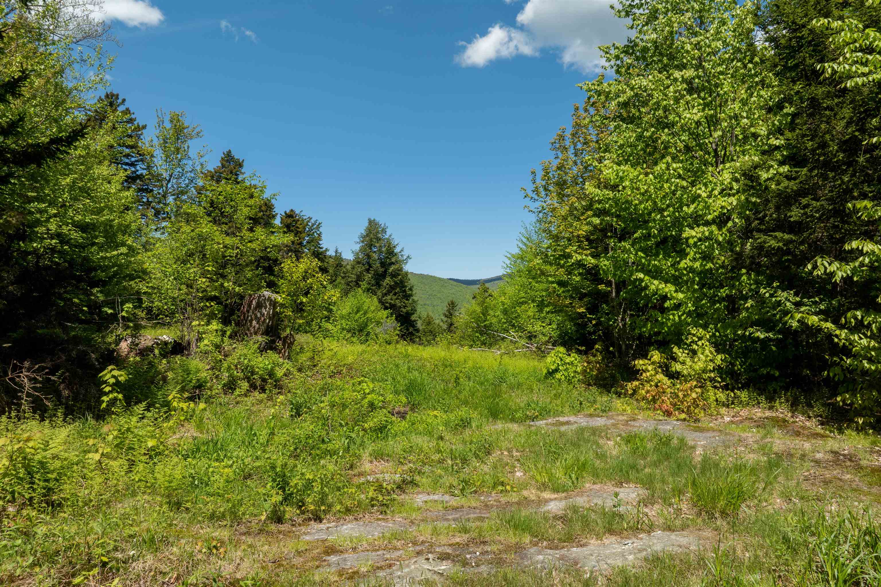 LUDLOW VT LAND  for sale $$350,000 | 9.88 Acres  | Price Per Acre $0