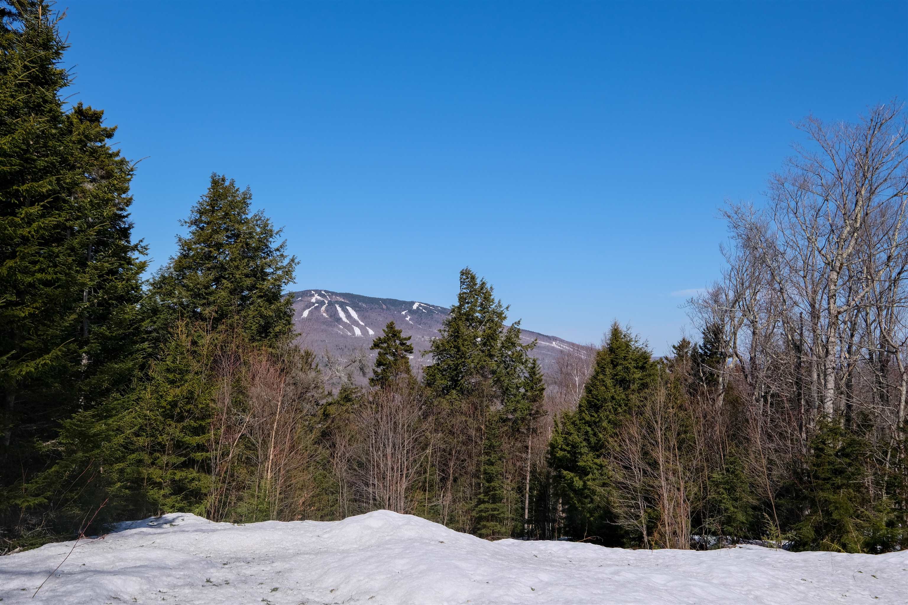 Homes for sale in Ludlow, VT | 0 Turtle Hill Rd, Ludlow, VT 05149 | MLS# 5032739