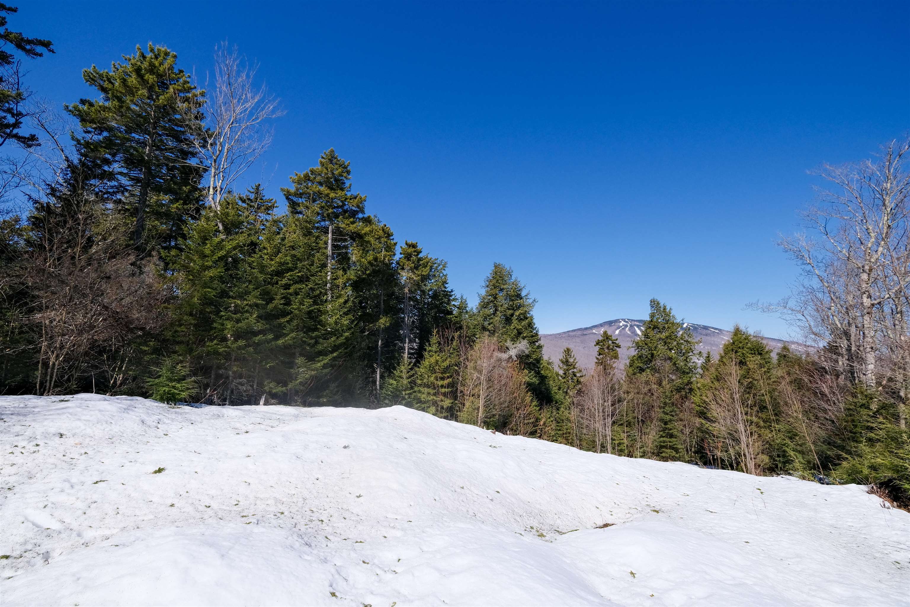 Homes for sale in Ludlow, VT | 0 Turtle Hill Rd, Ludlow, VT 05149 | MLS# 5032739