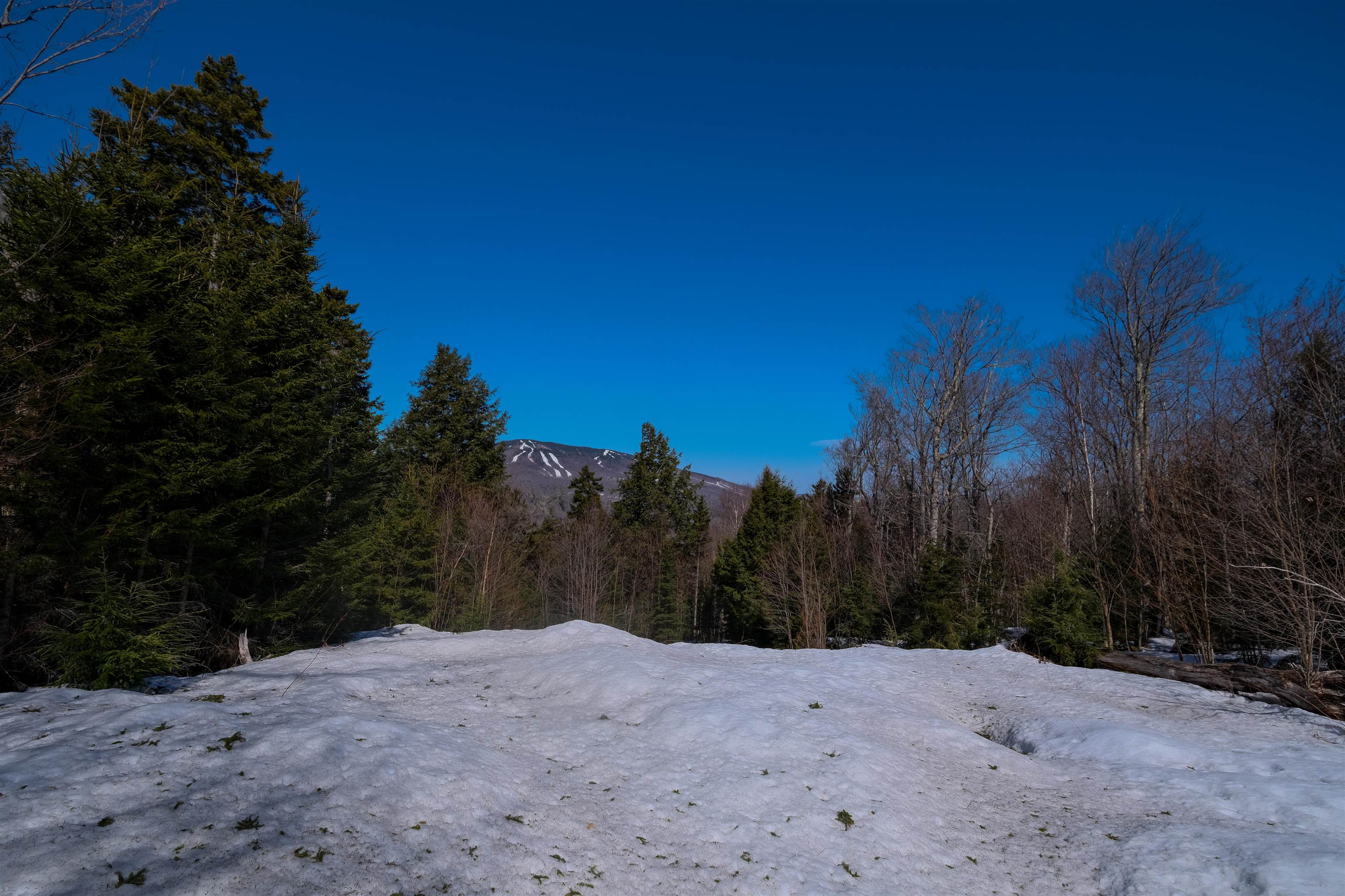 Homes for sale in Ludlow, VT | 0 Turtle Hill Rd, Ludlow, VT 05149 | MLS# 5032739