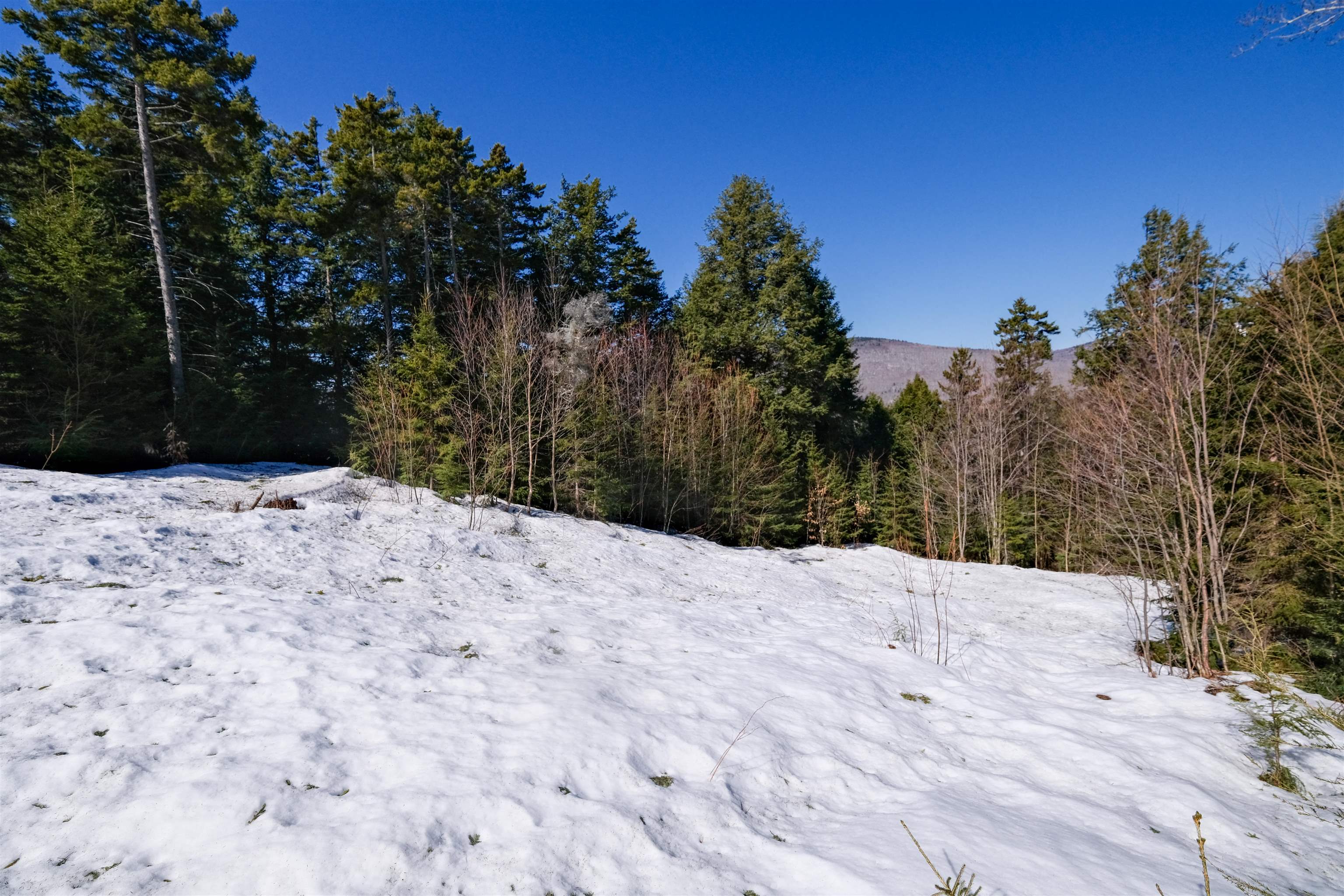 Homes for sale in Ludlow, VT | 0 Turtle Hill Rd, Ludlow, VT 05149 | MLS# 5032739