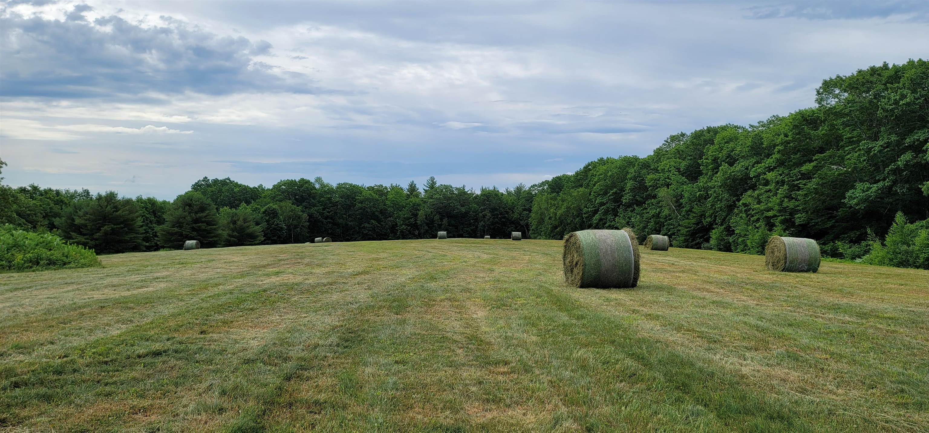 MLS #5032827 image #1