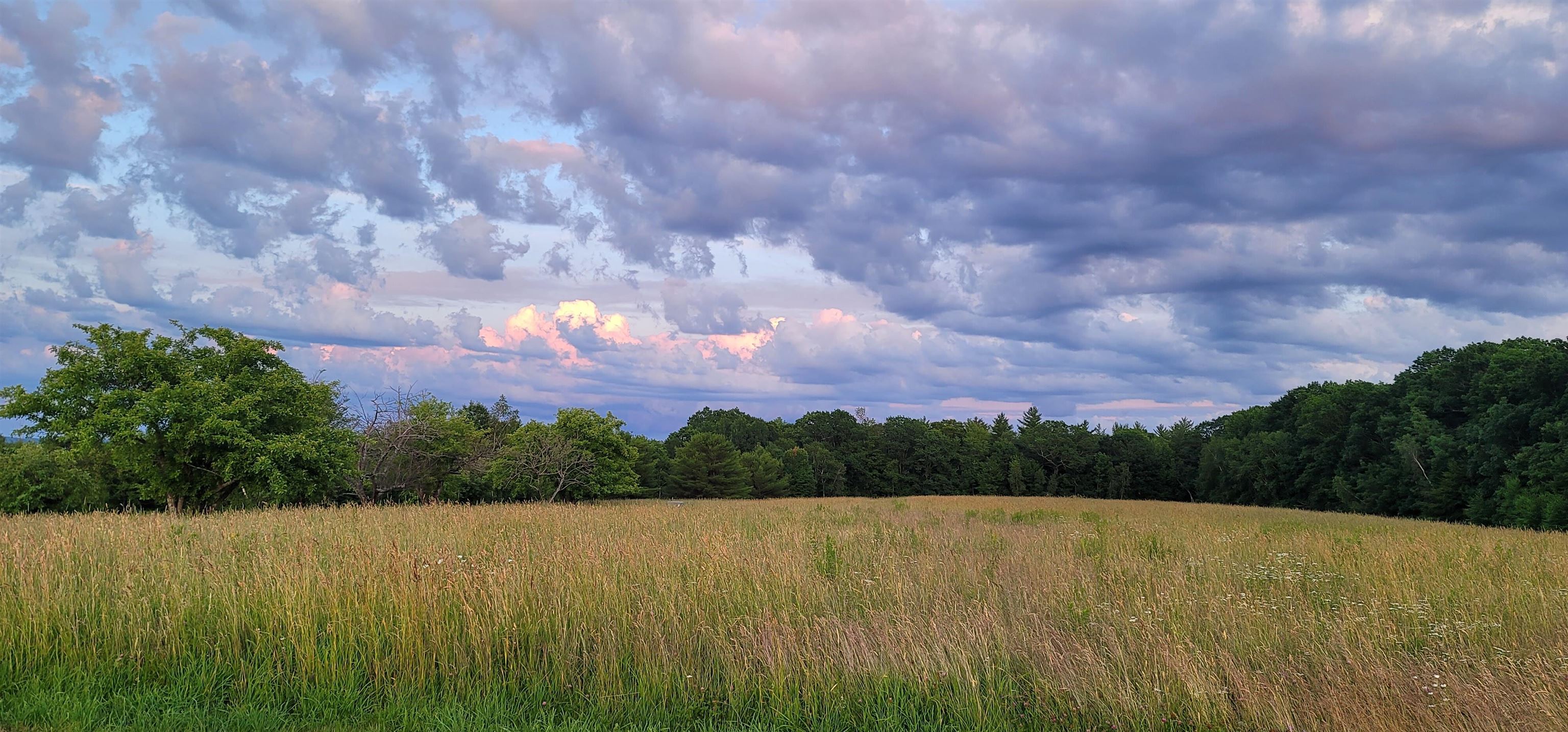 MLS #5032827 image #2