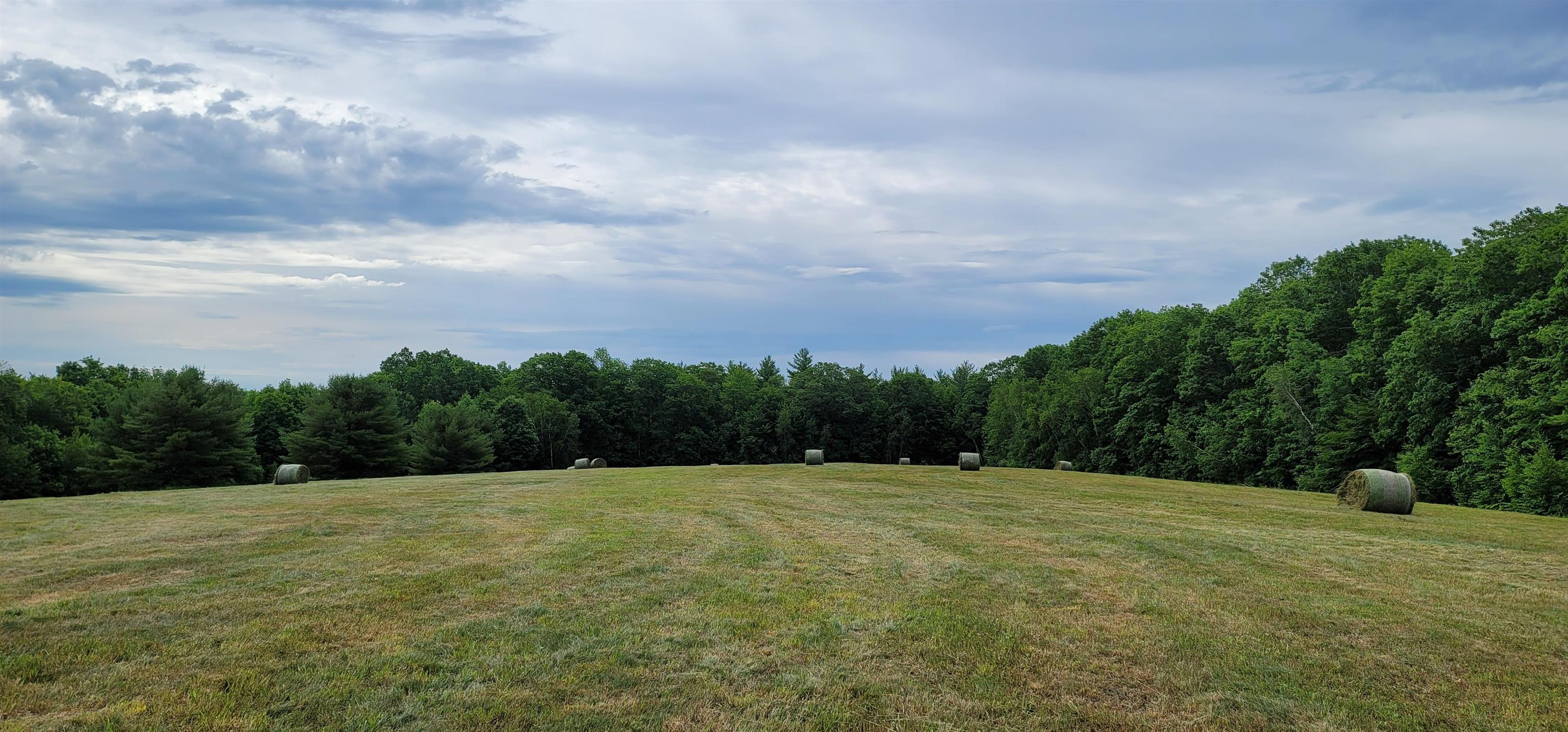 MLS #5032827 image #3