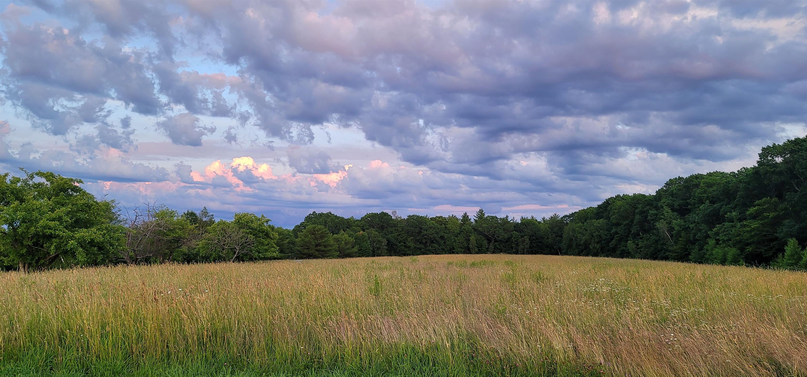 MLS #5032827 image #4