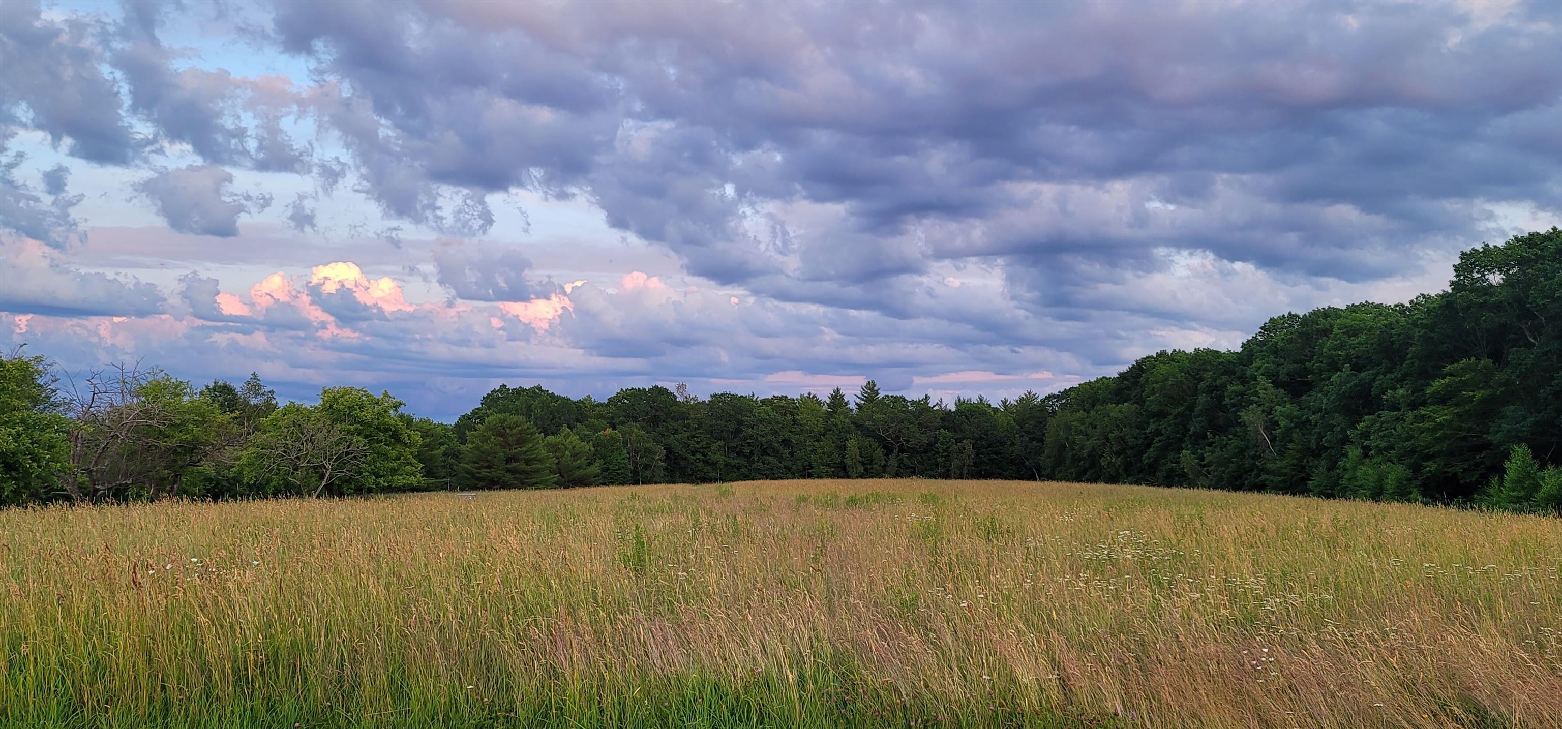 MLS #5032827 image #5