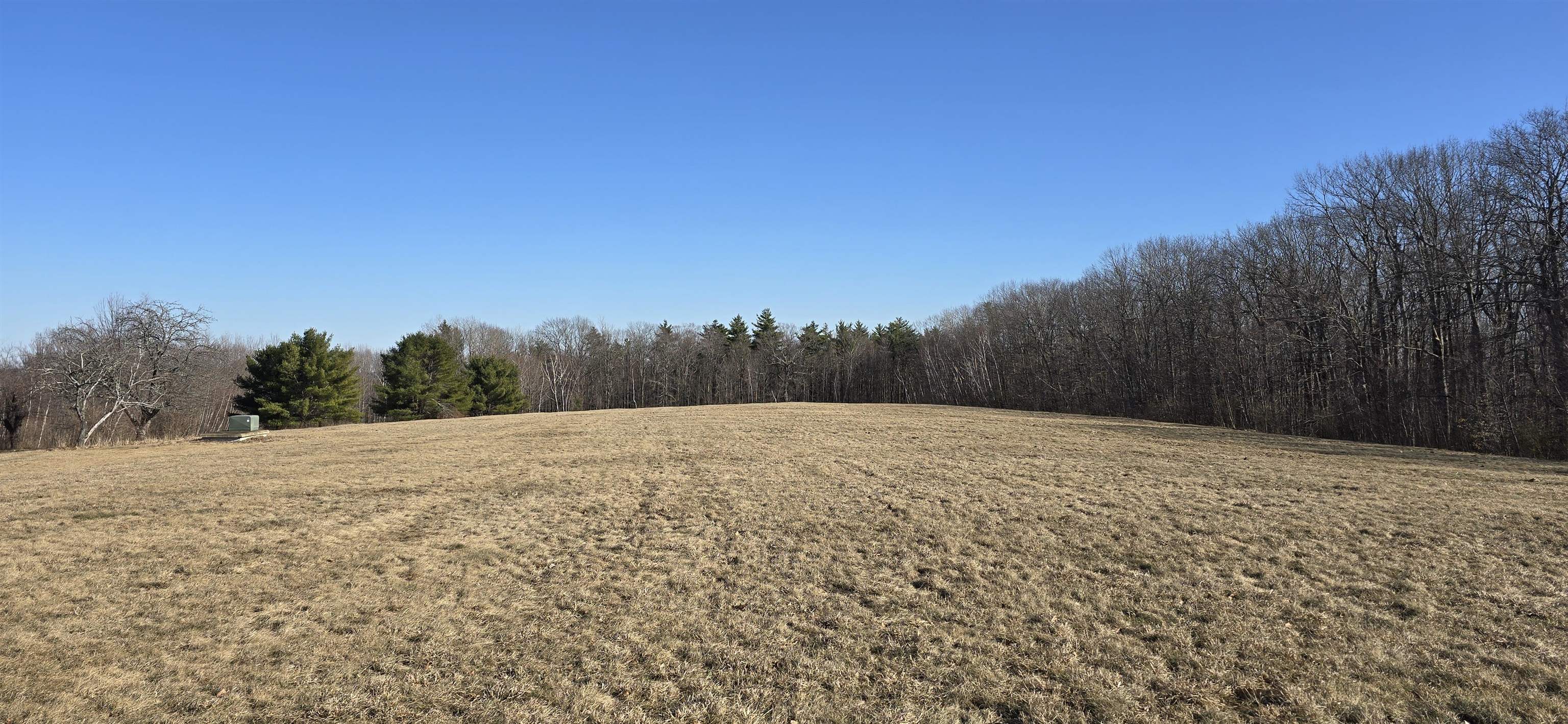 MLS #5032827 image #6