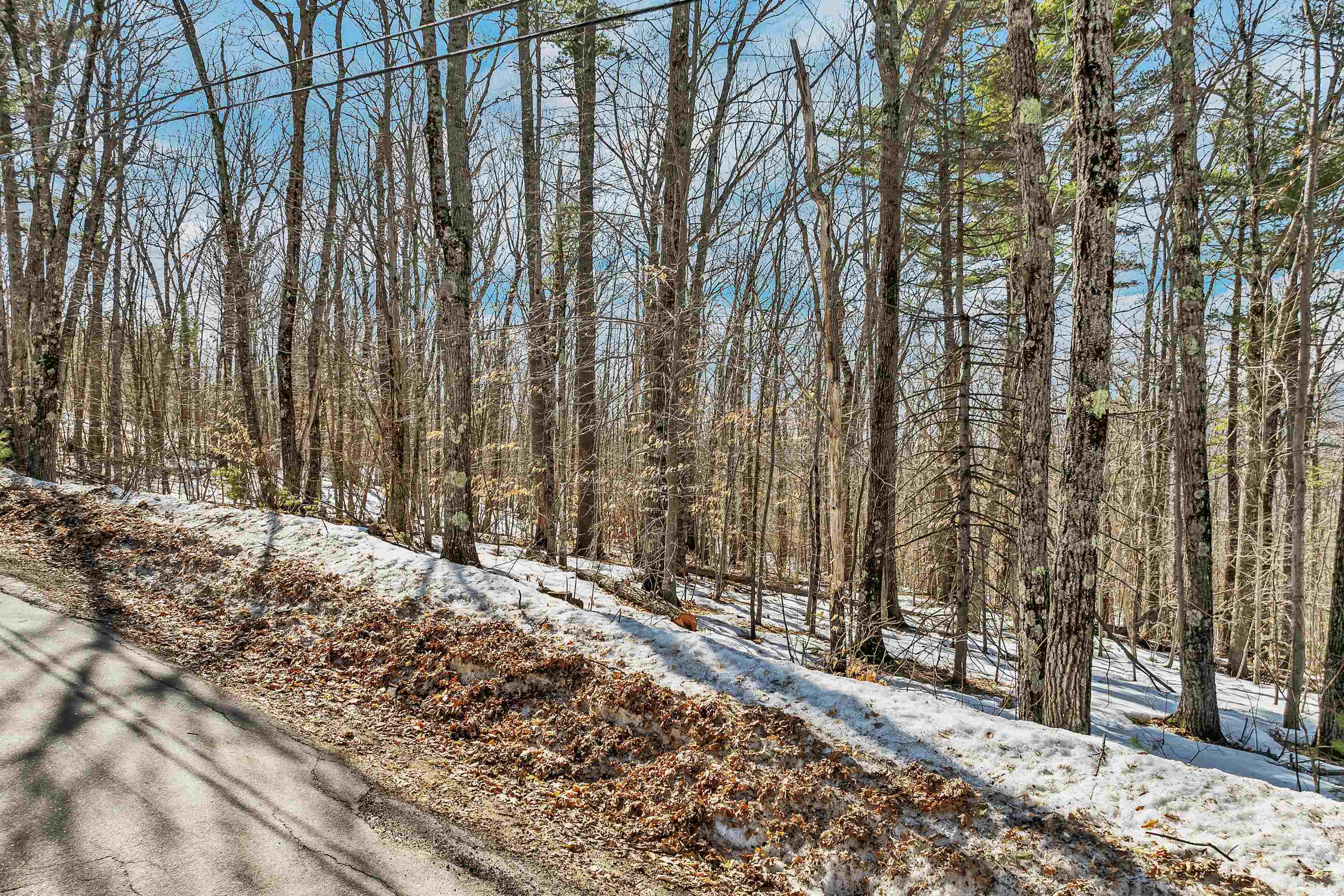 Homes for sale in Madison, NH | 15 Klausen Rd, Madison, NH 03849 | MLS# 5032974