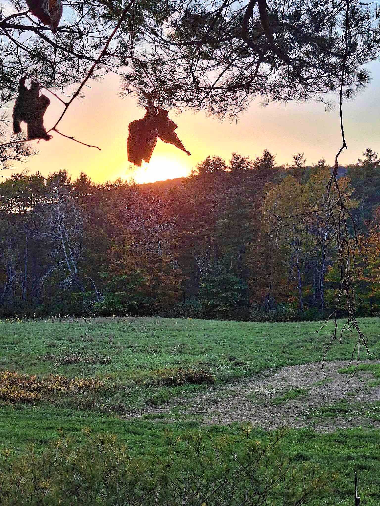 Homes for sale in Springfield, VT | 0 Brook Rd, Springfield, VT 05156 | MLS# 5033015