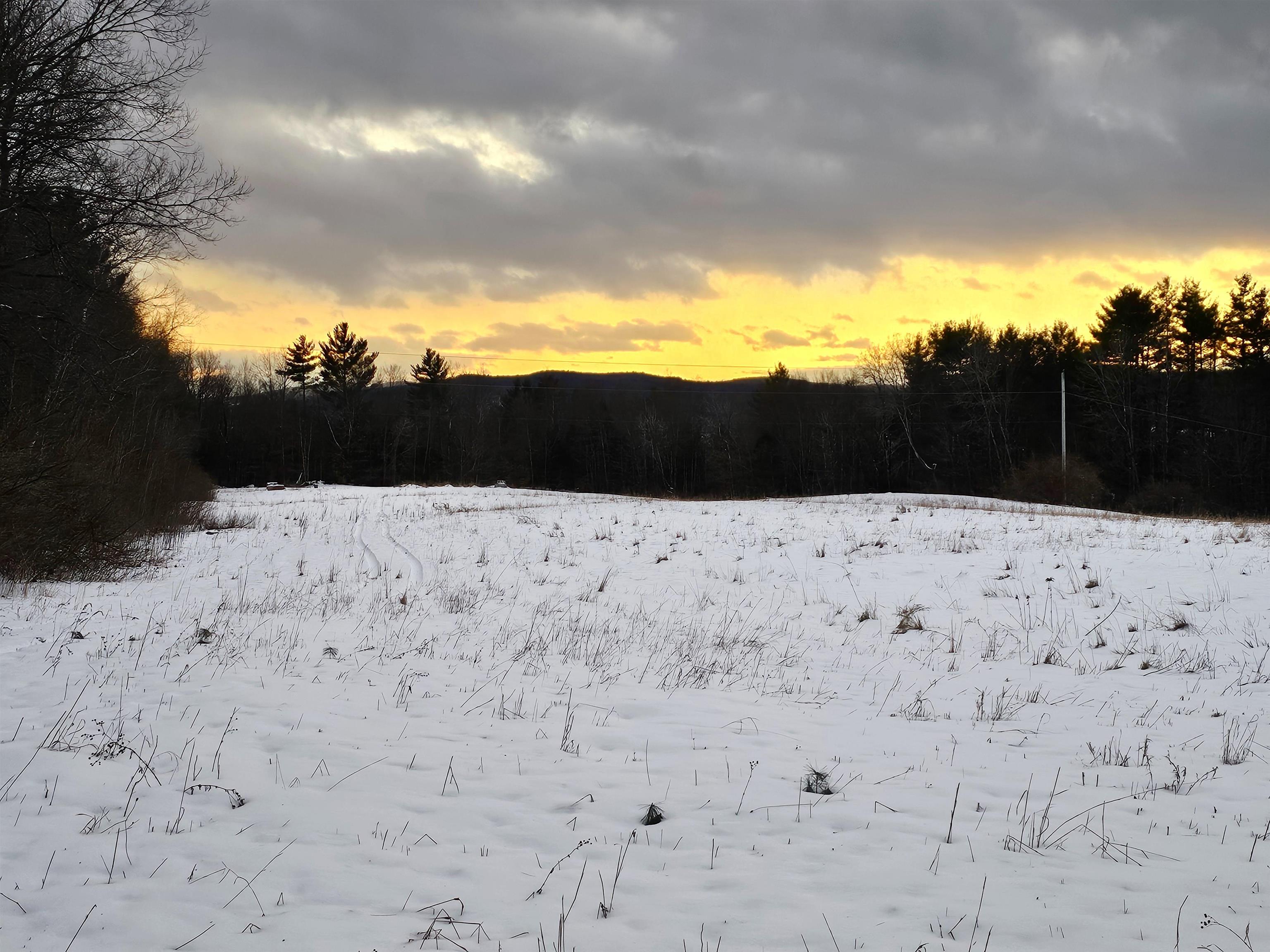 Homes for sale in Springfield, VT | 0 Brook Rd, Springfield, VT 05156 | MLS# 5033015