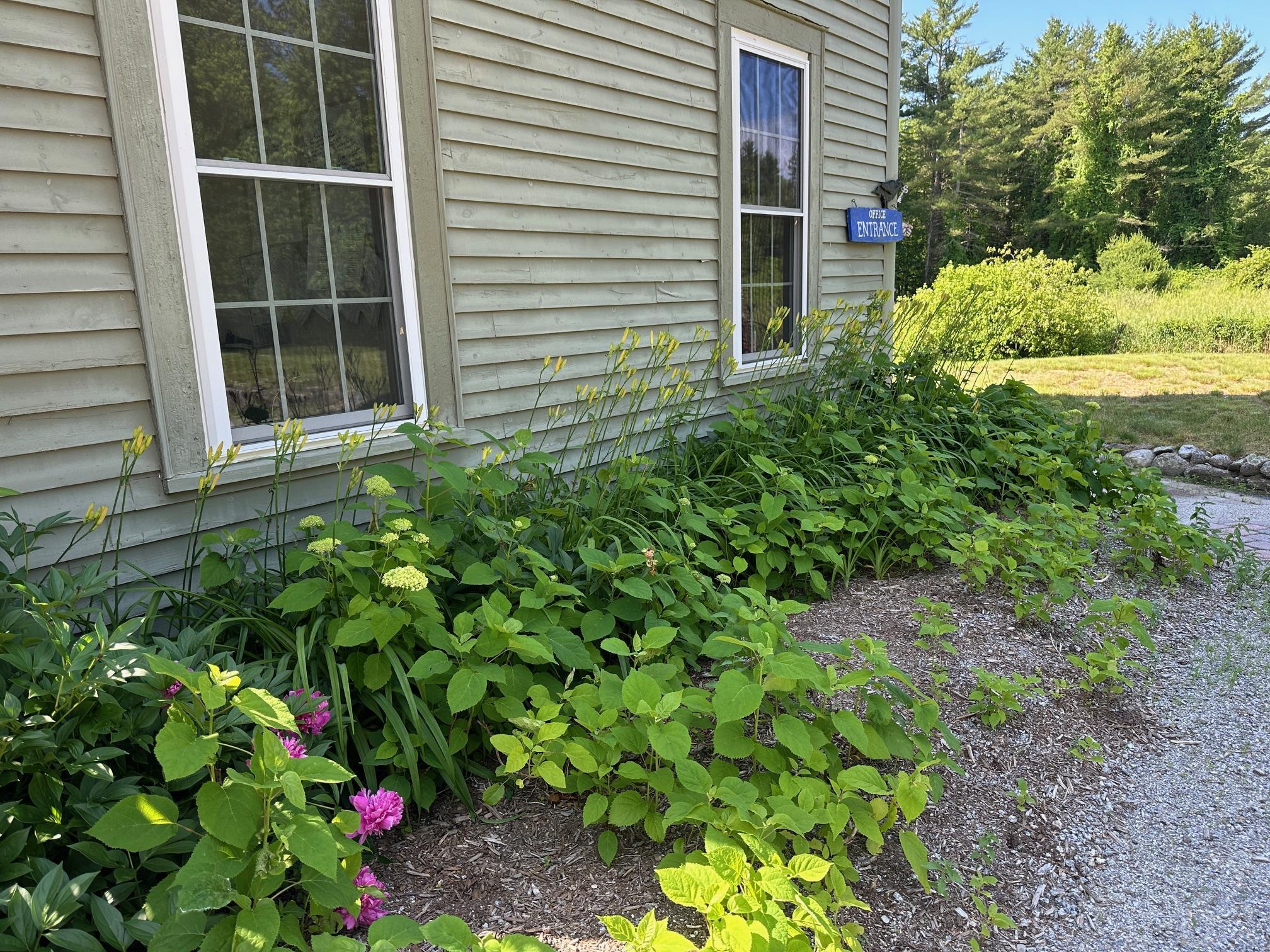 MLS #5033047 image #3