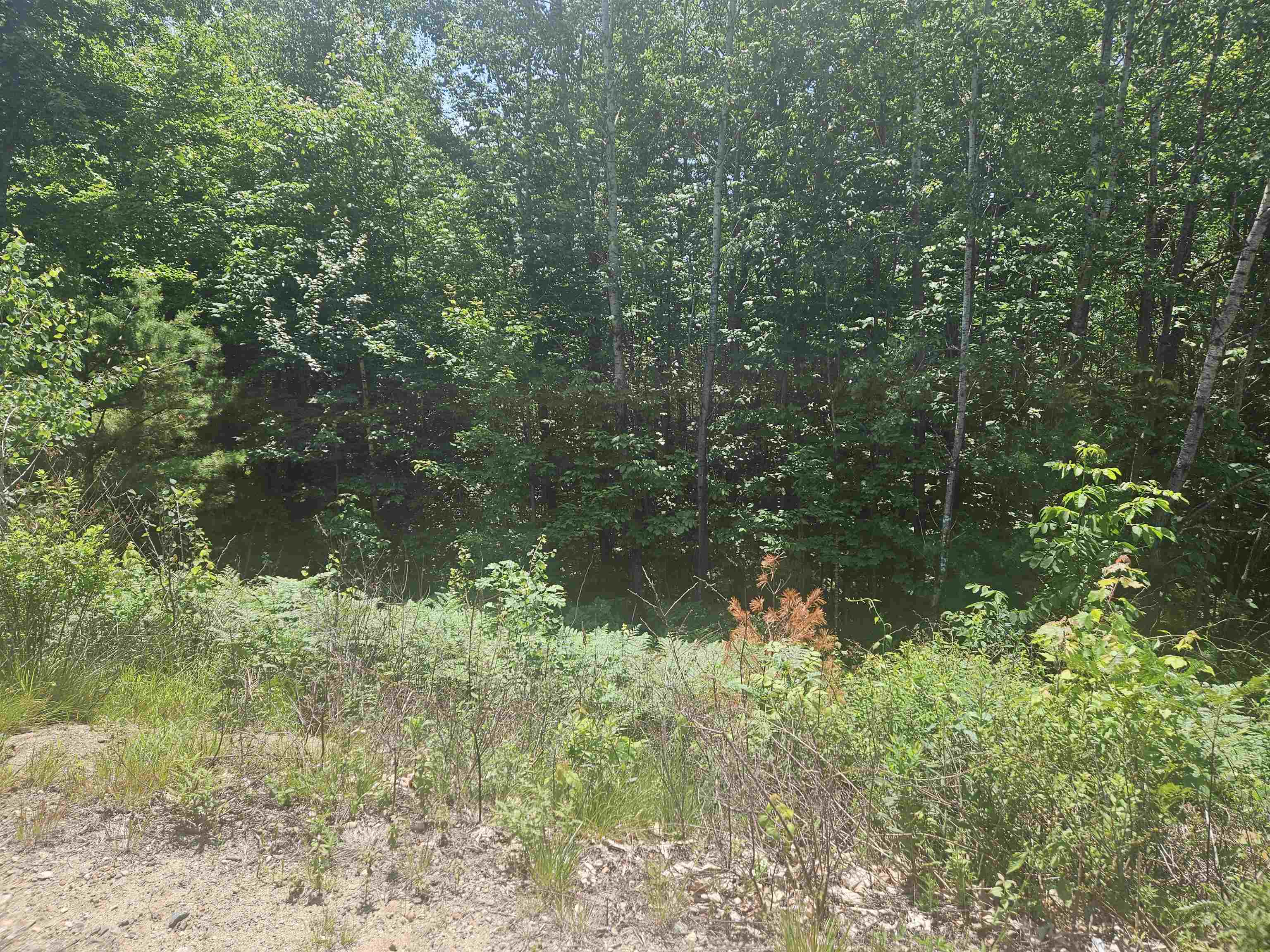 Homes for sale in Moultonborough, NH | 9 Lady Slipper Ln, Moultonborough, NH 03254 | MLS# 5033505