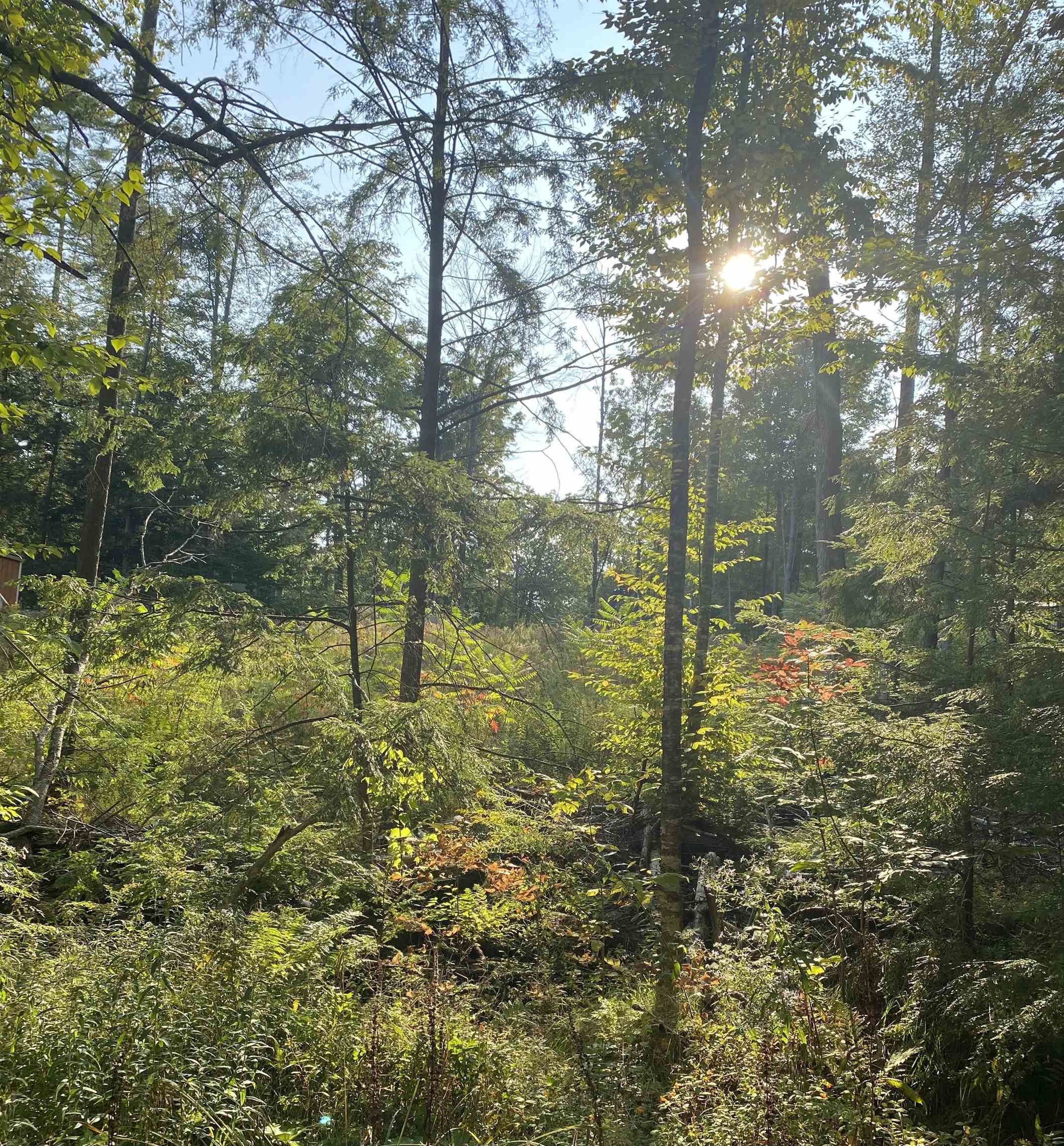 Homes for sale in Hillsborough, NH | 17 Autumn Rd, Hillsborough, NH 03244 | MLS# 5033623