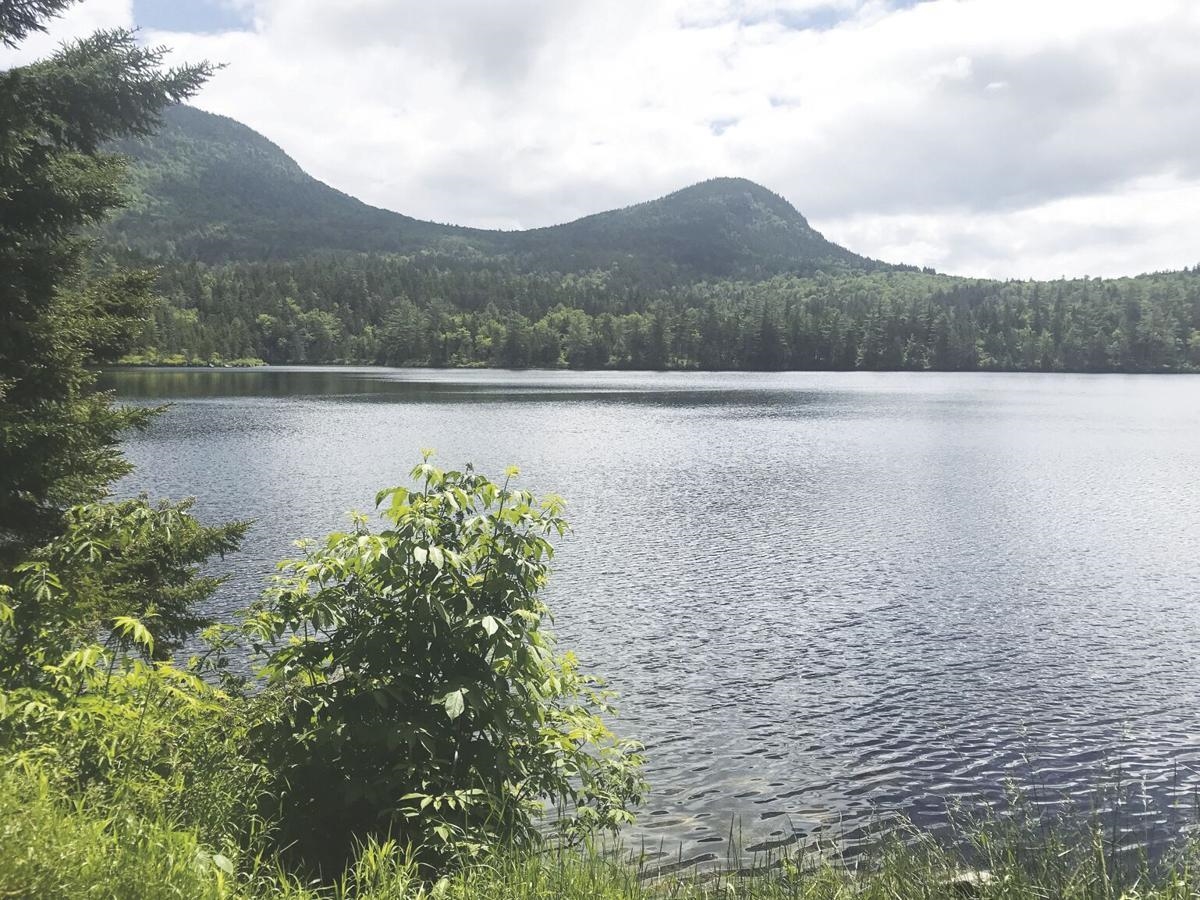 Gilmanton NH Land for sale $$12,000 | 0.1 Acres  | Price Per Acre $0 