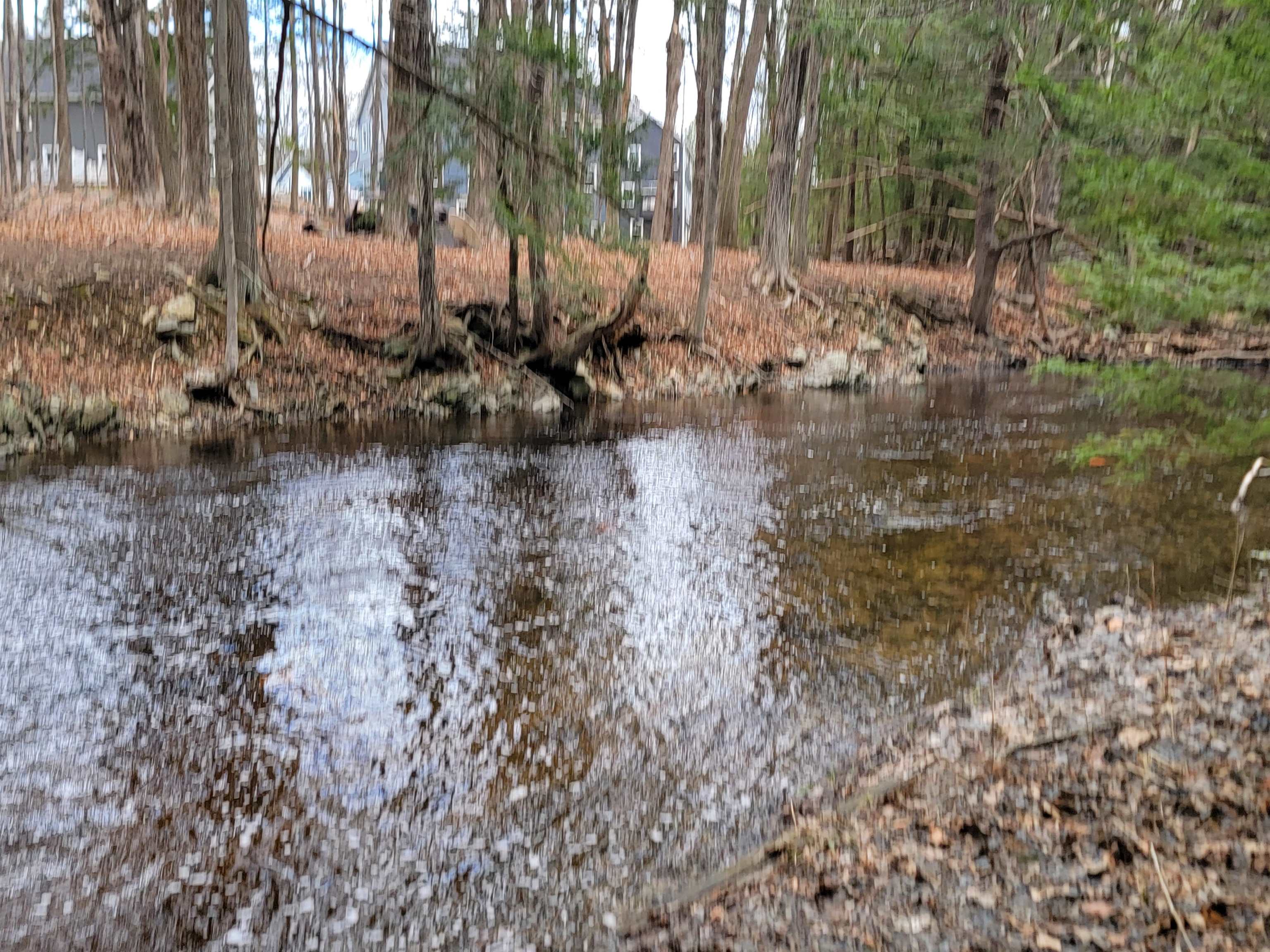 MLS #5033810 image #56