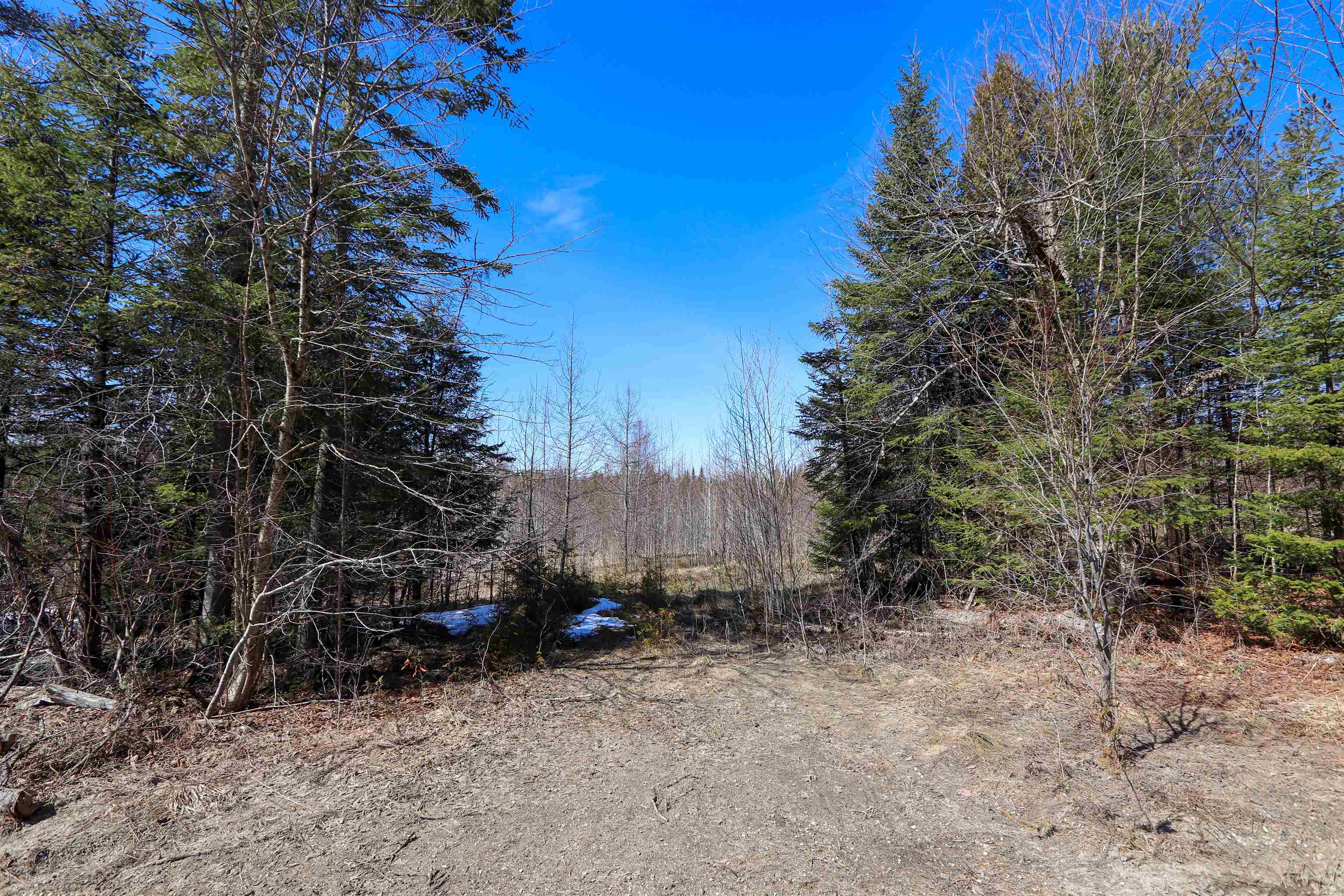 Homes for sale in Burke, VT | 00 Burke Green Rd, Burke, VT 05832 | MLS# 5033922