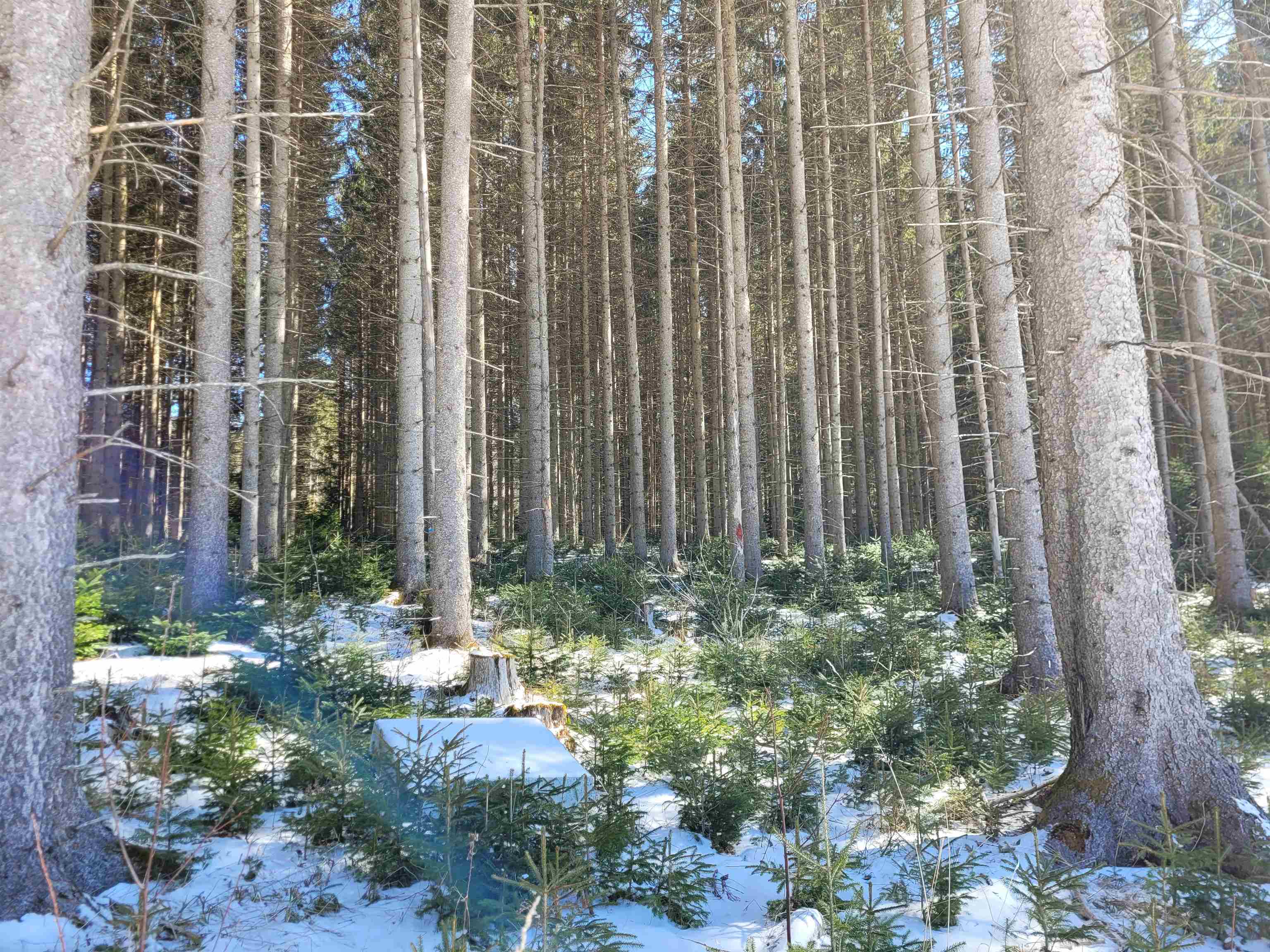 Homes for sale in Peacham, VT | 210 Cow Hill Rd, Peacham, VT 05873 | MLS# 5033954