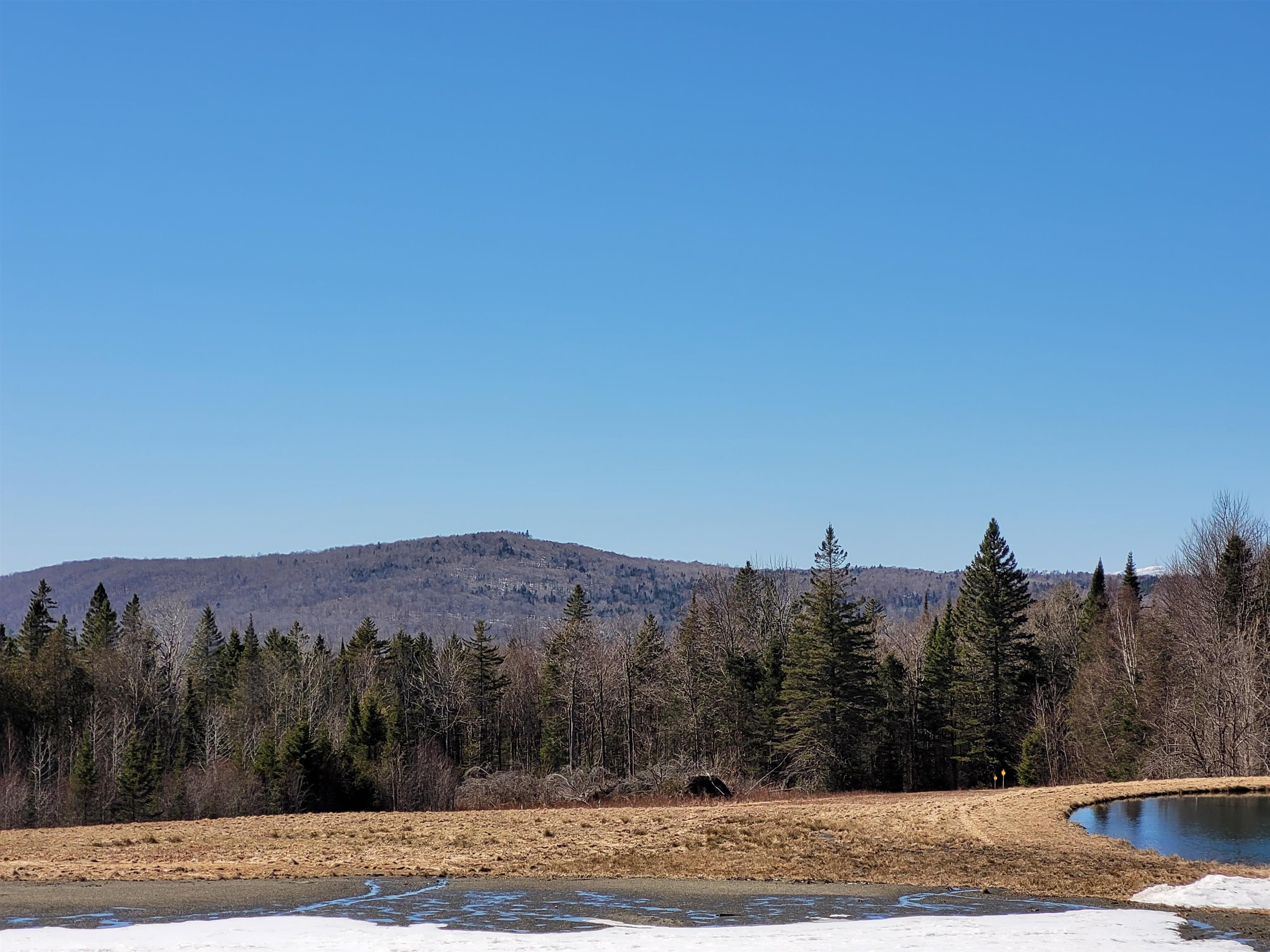 Homes for sale in Peacham, VT | 210 Cow Hill Rd, Peacham, VT 05873 | MLS# 5033954