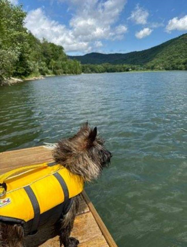 MLS #5033971 image #53