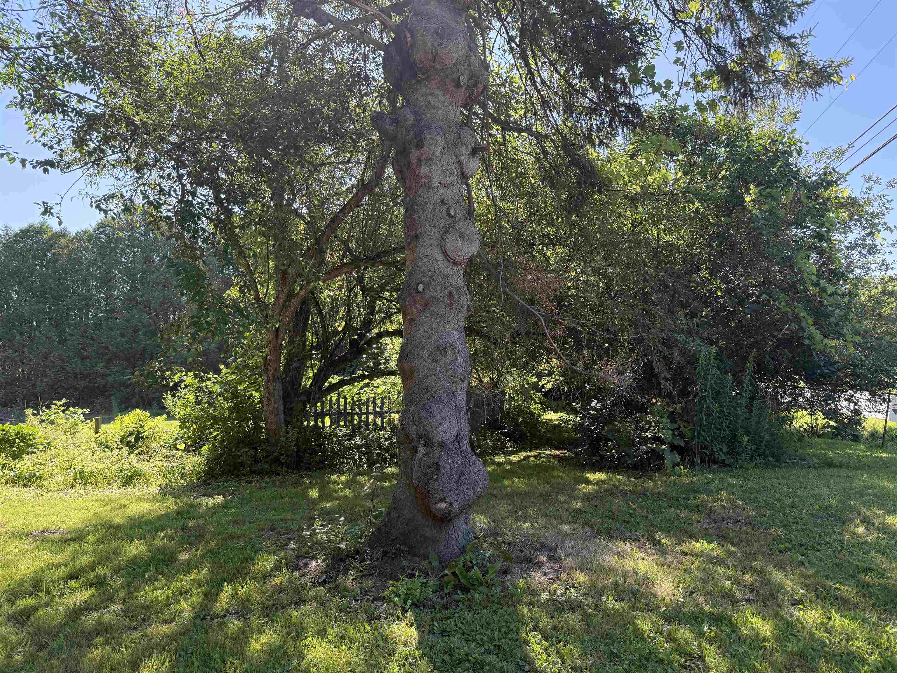 Homes for sale in Middlesex, VT | 124 Three Mile Bridge Rd, Middlesex, VT 05602 | MLS# 5034012